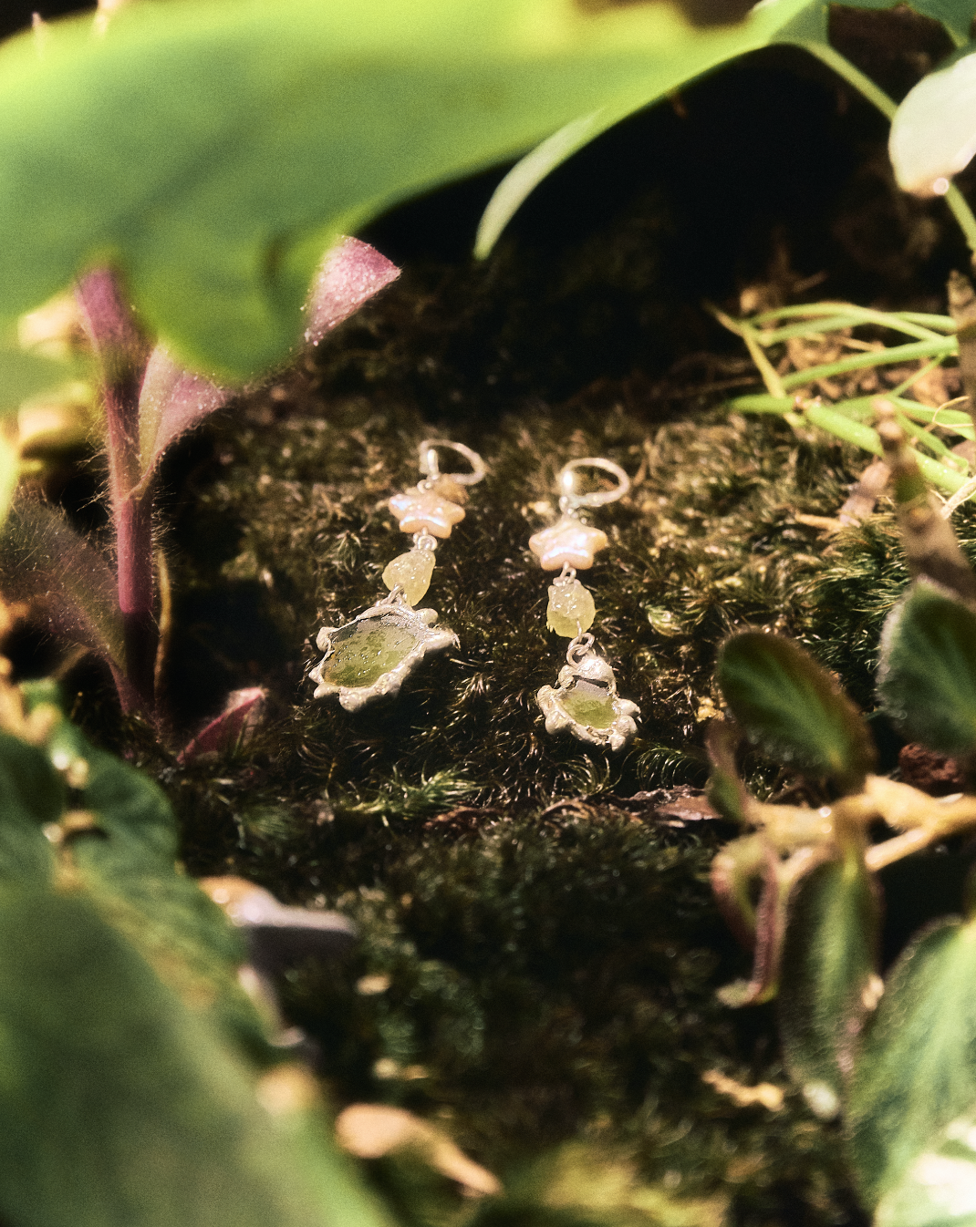 Screen Shot 2026-01-01 at 7.24.25 PM.png