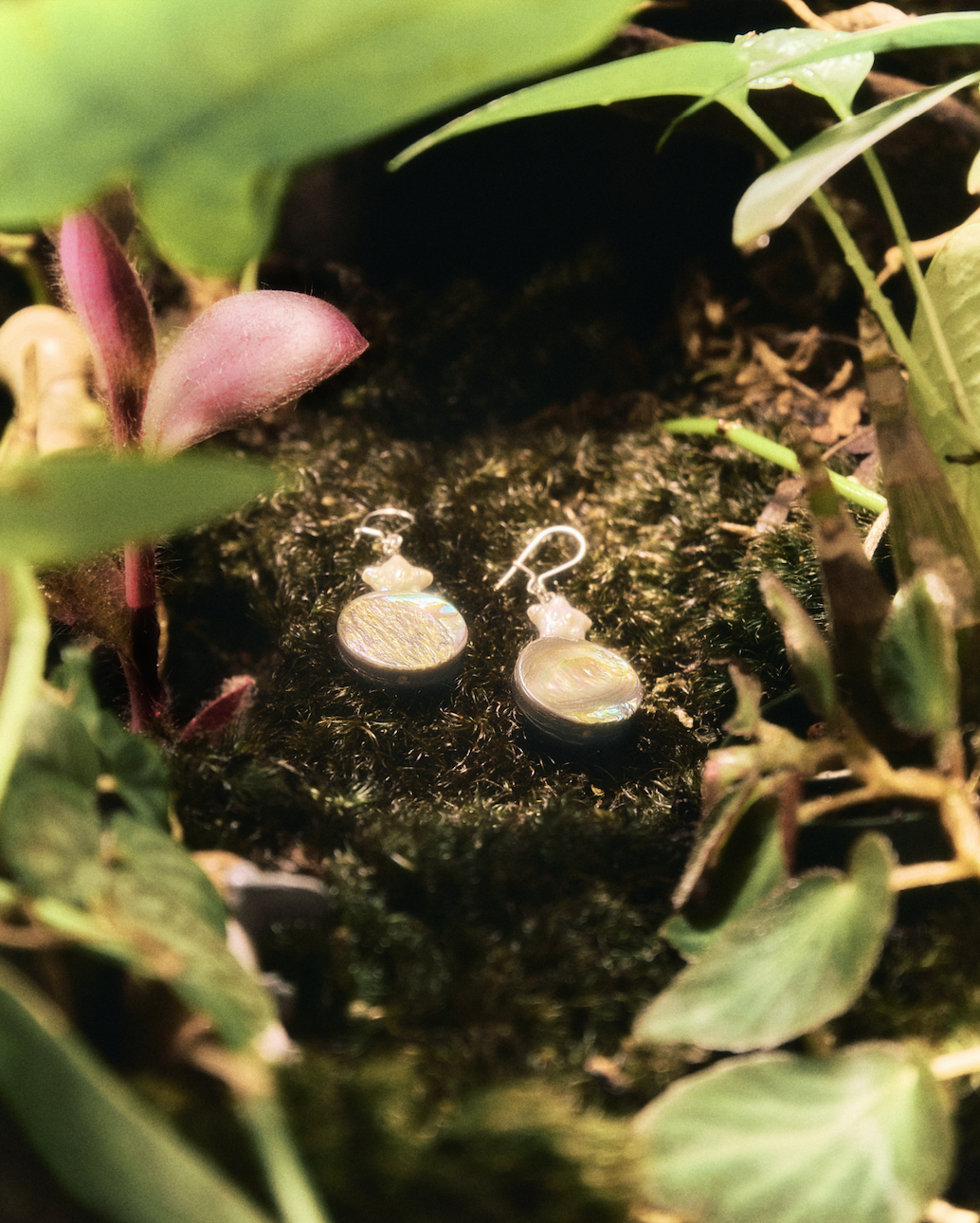 Screen Shot 2026-01-01 at 11.15.18 PM.png