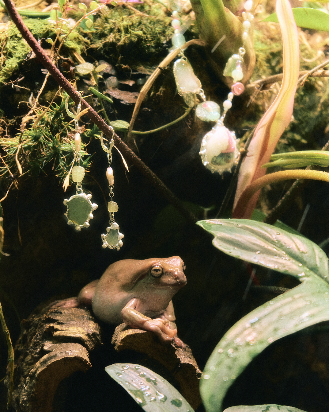 Screen Shot 2026-01-01 at 10.35.13 PM.png