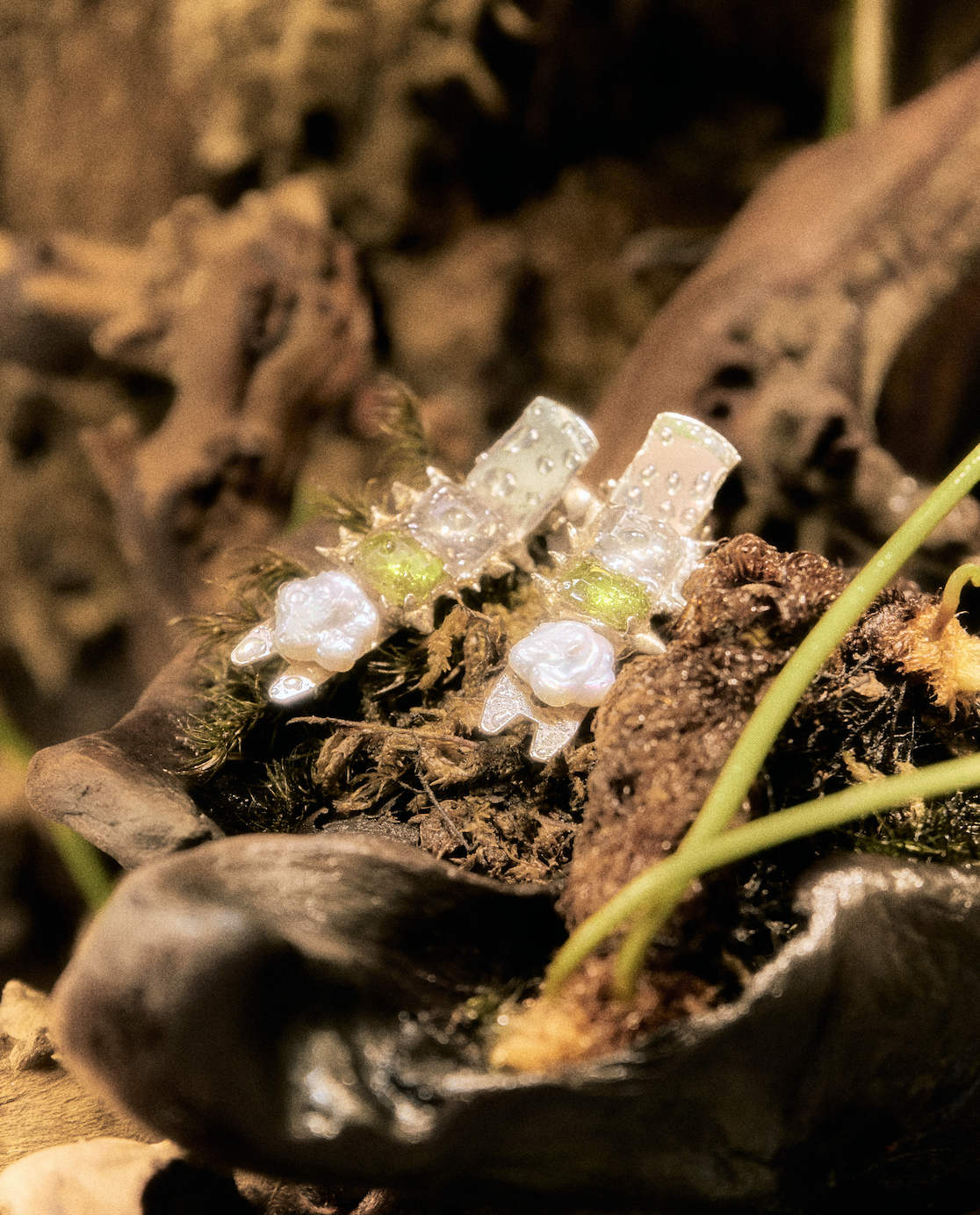 Screen Shot 2026-01-01 at 11.06.17 PM.png