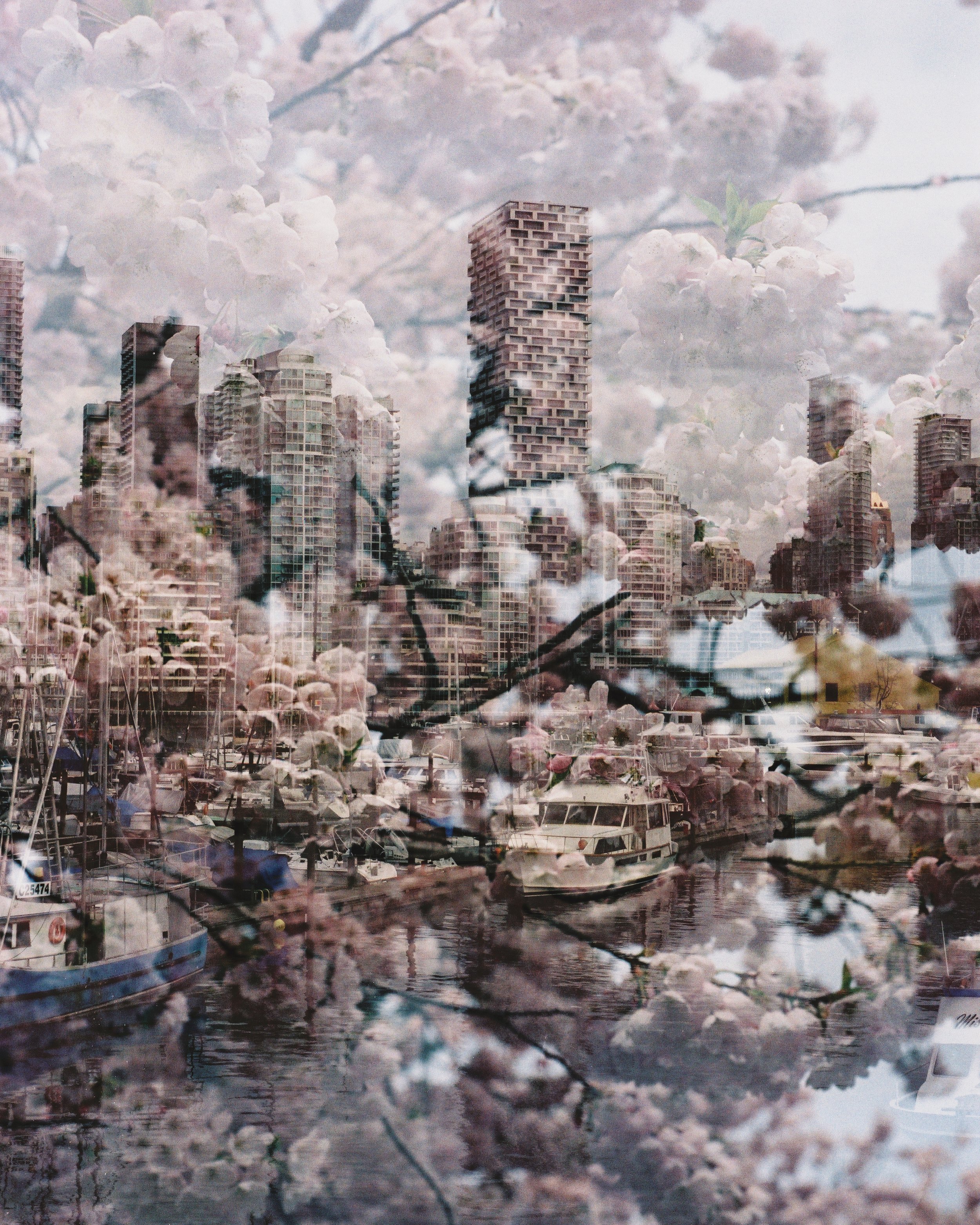 03. 8x10 (3).jpg