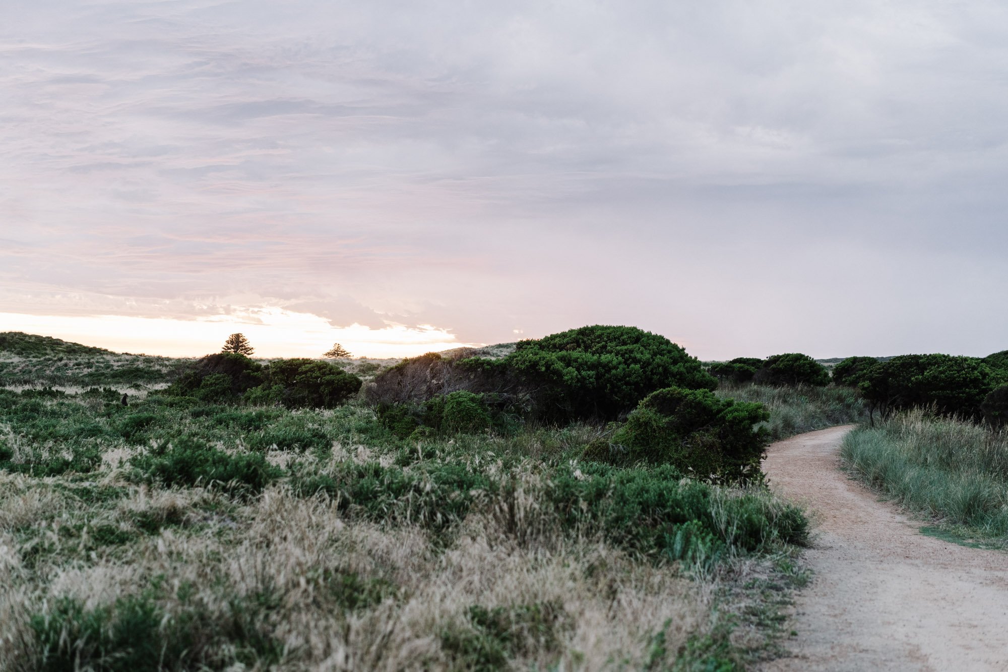 Lucy's Lane_low res-36.jpg