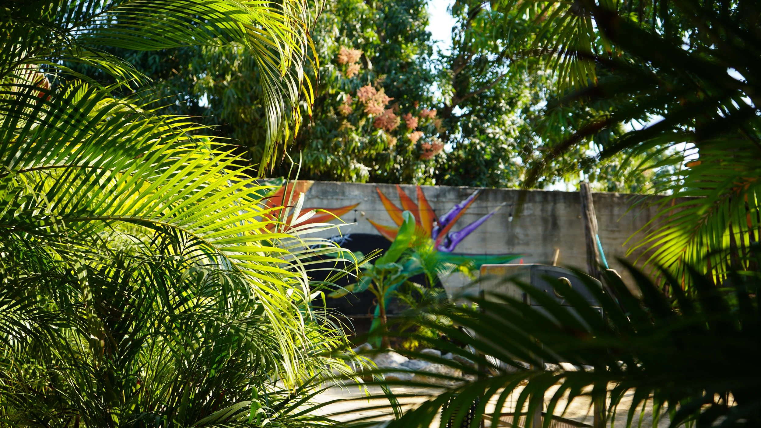 RiseAbove_LaCasita_25.JPG