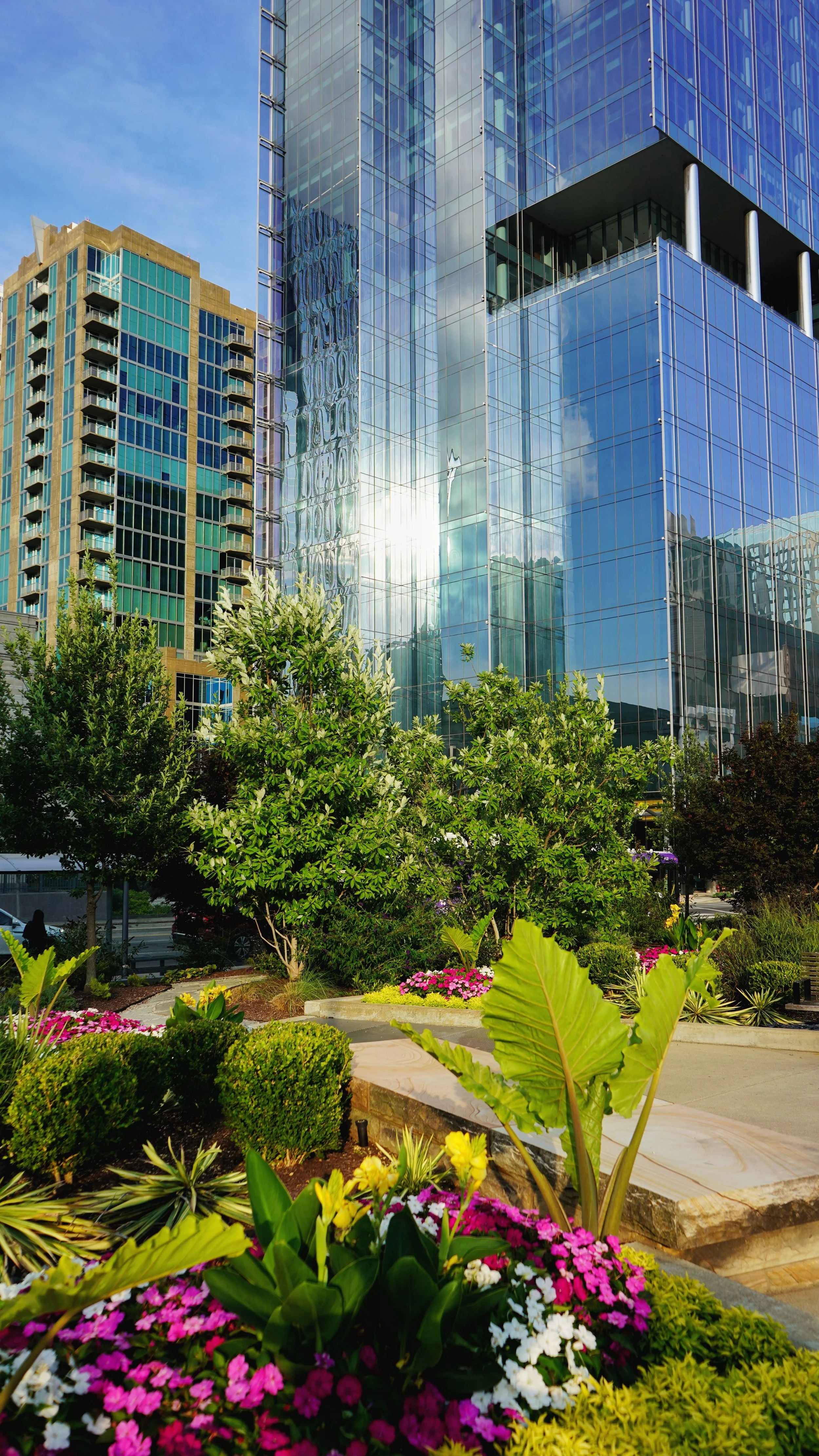 RiseAboveMedia_NASH_Edited_Image_99.jpg