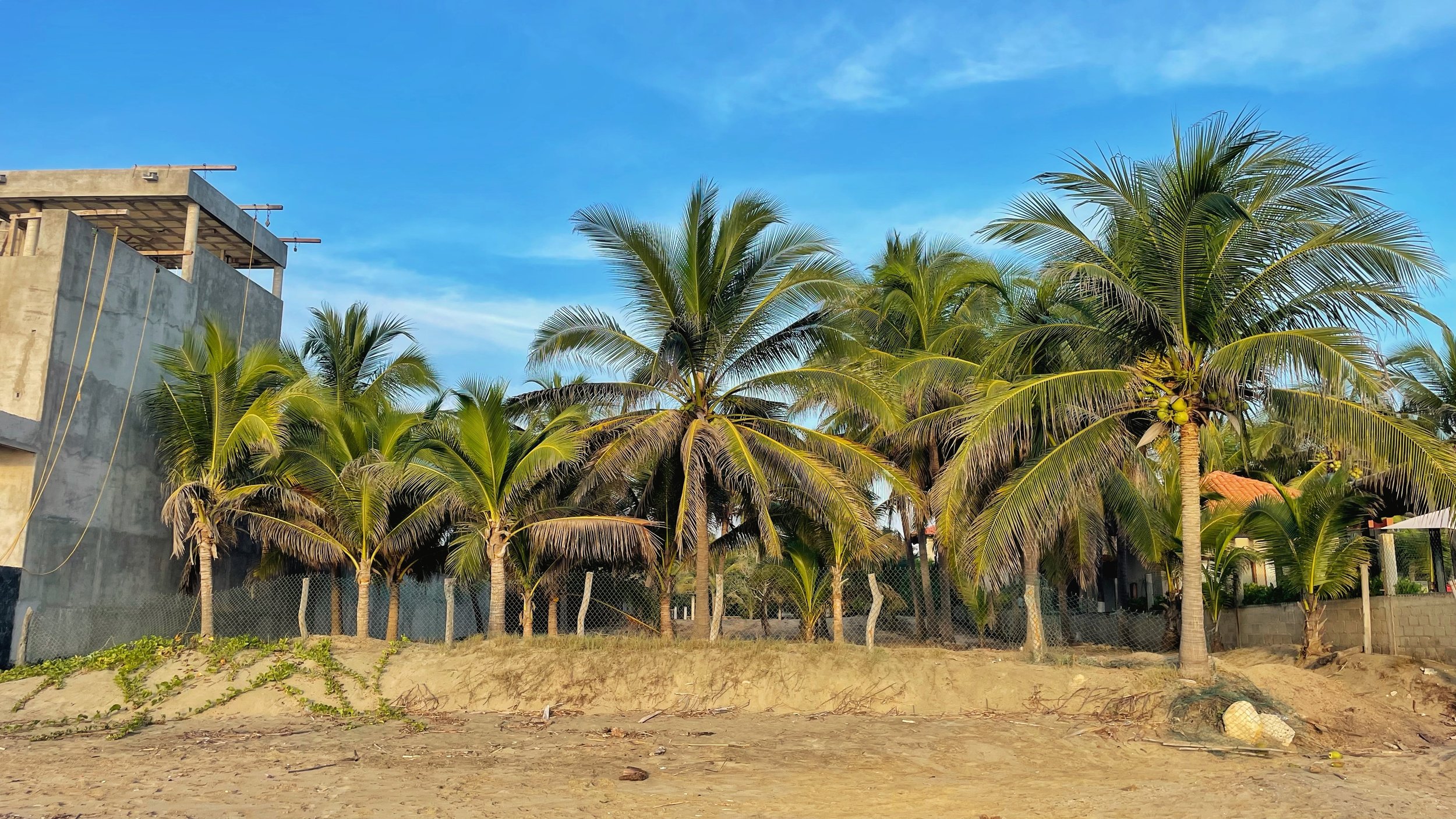 View of Lot from Playa Blanca