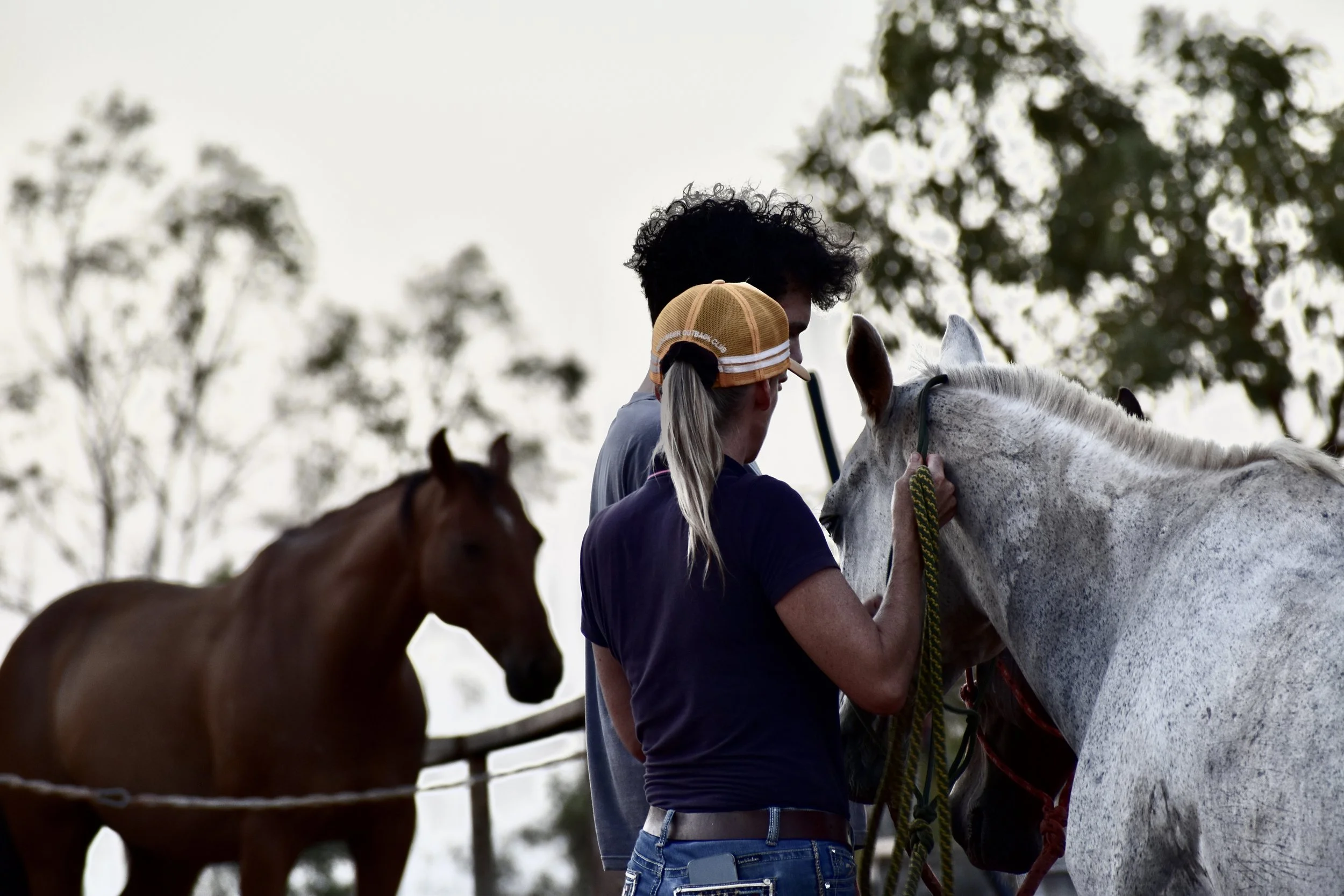 Photo 28-2-2024, 6 40 28 pm.jpg