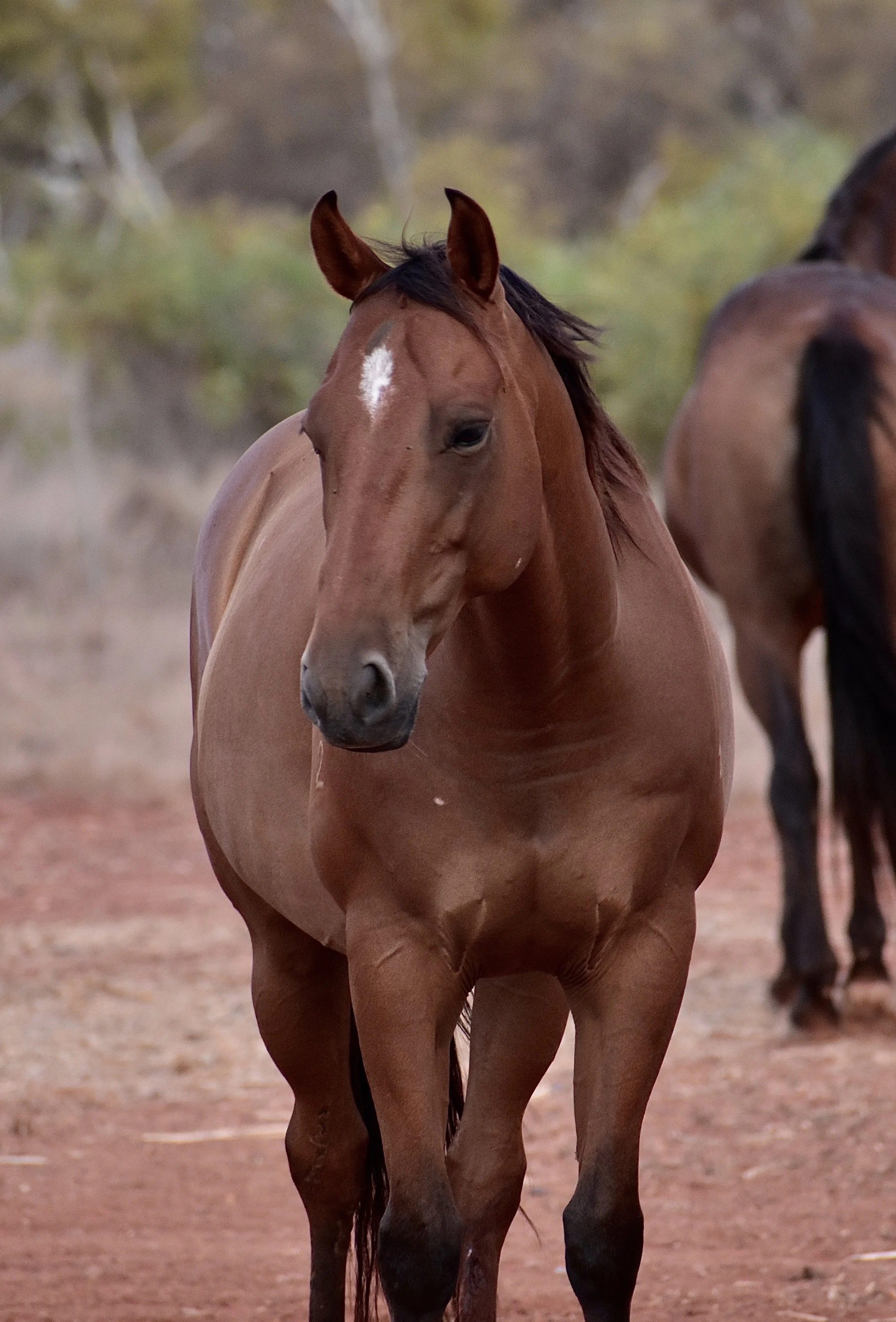 Vegas Profile photo.jpg