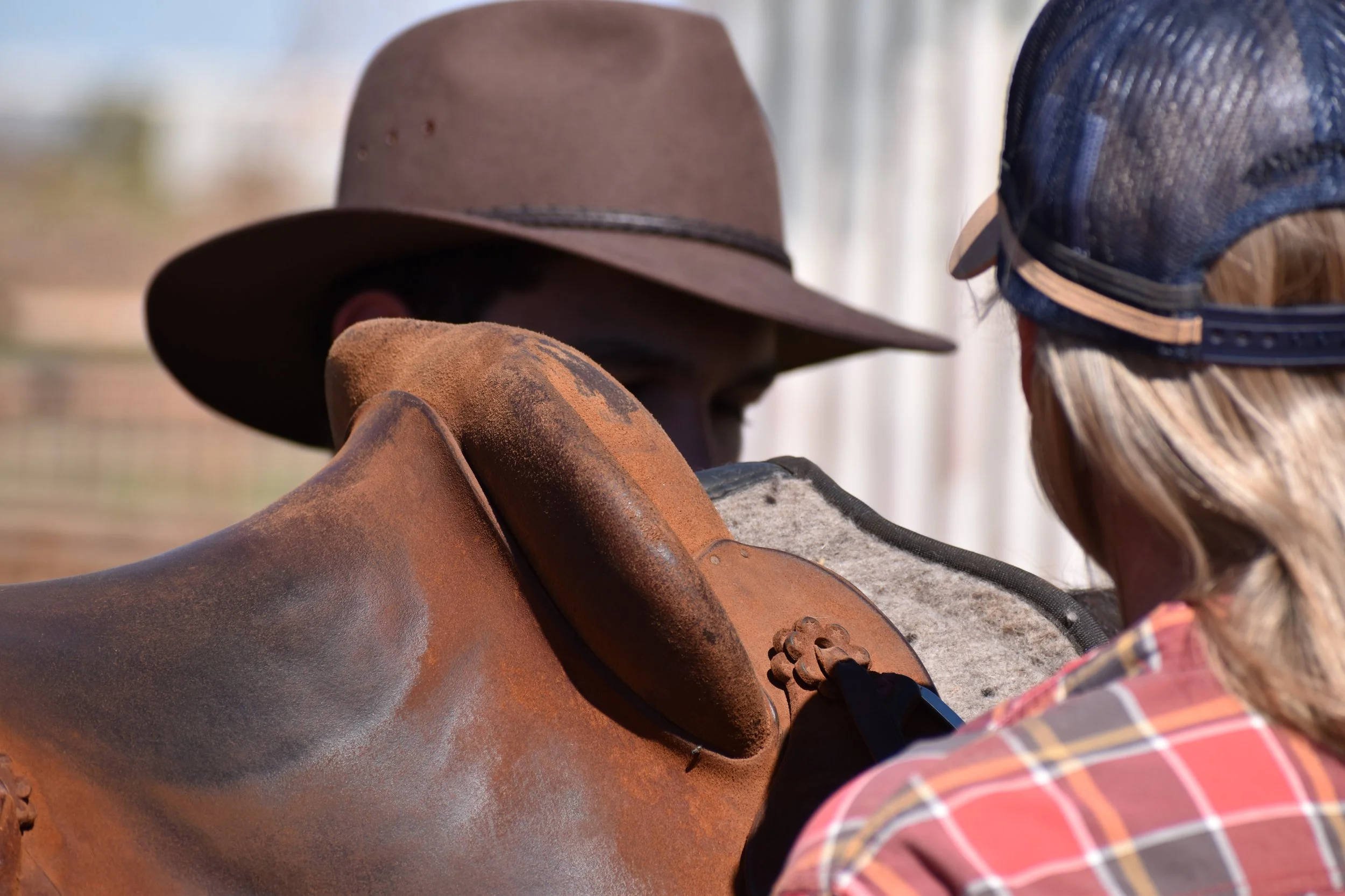 Photo 23-4-2024, 10 00 13 AM.jpg