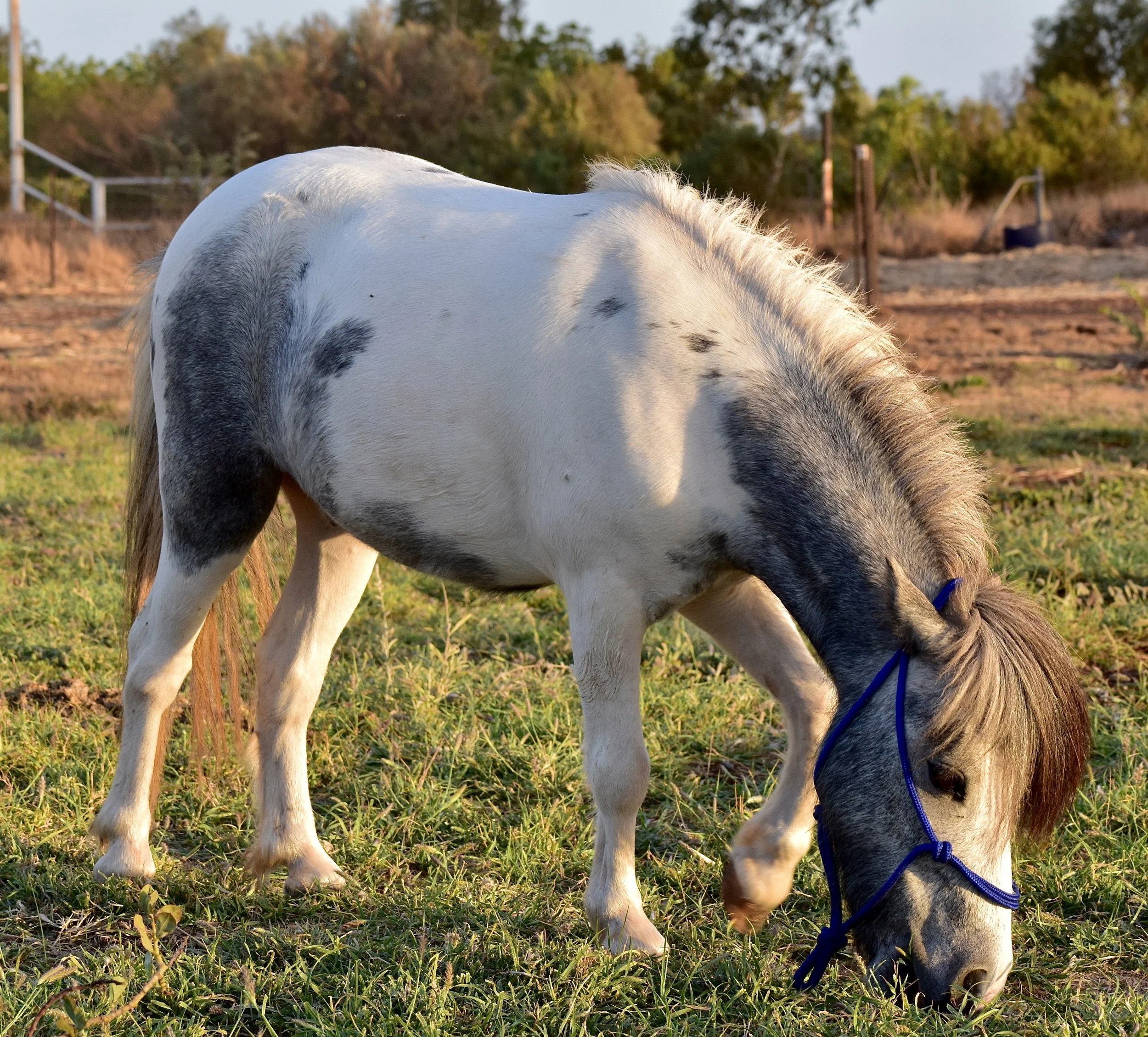 Max profile photo final.jpg