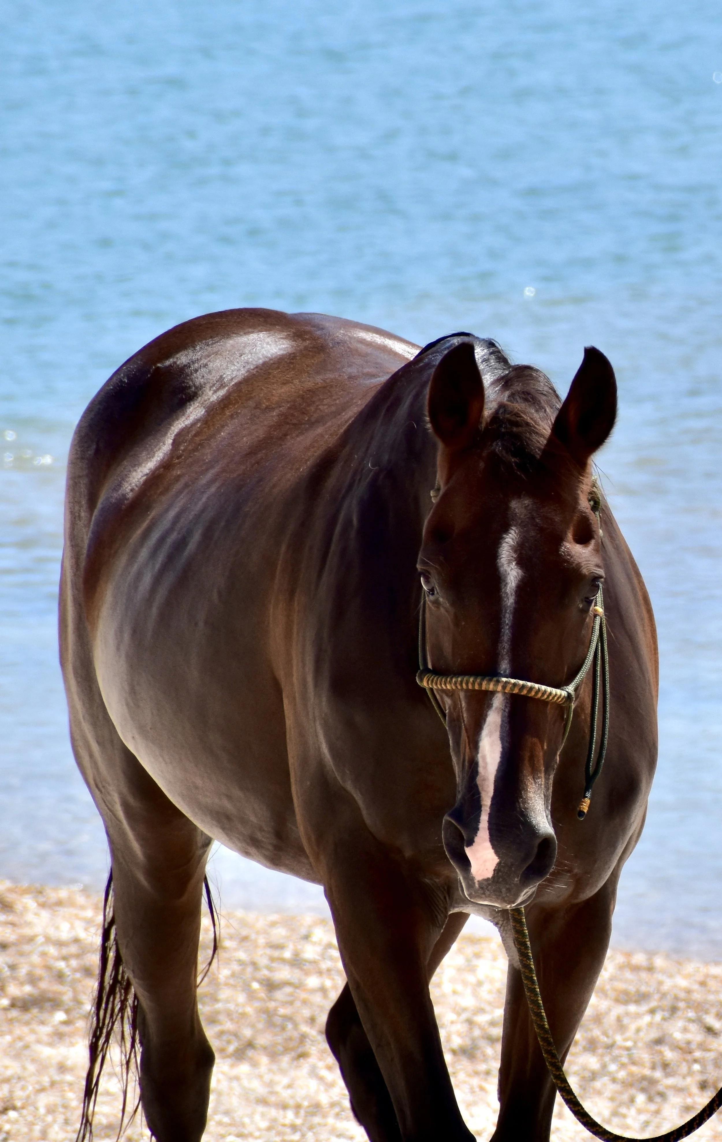 Breeze Profile Photo.jpg