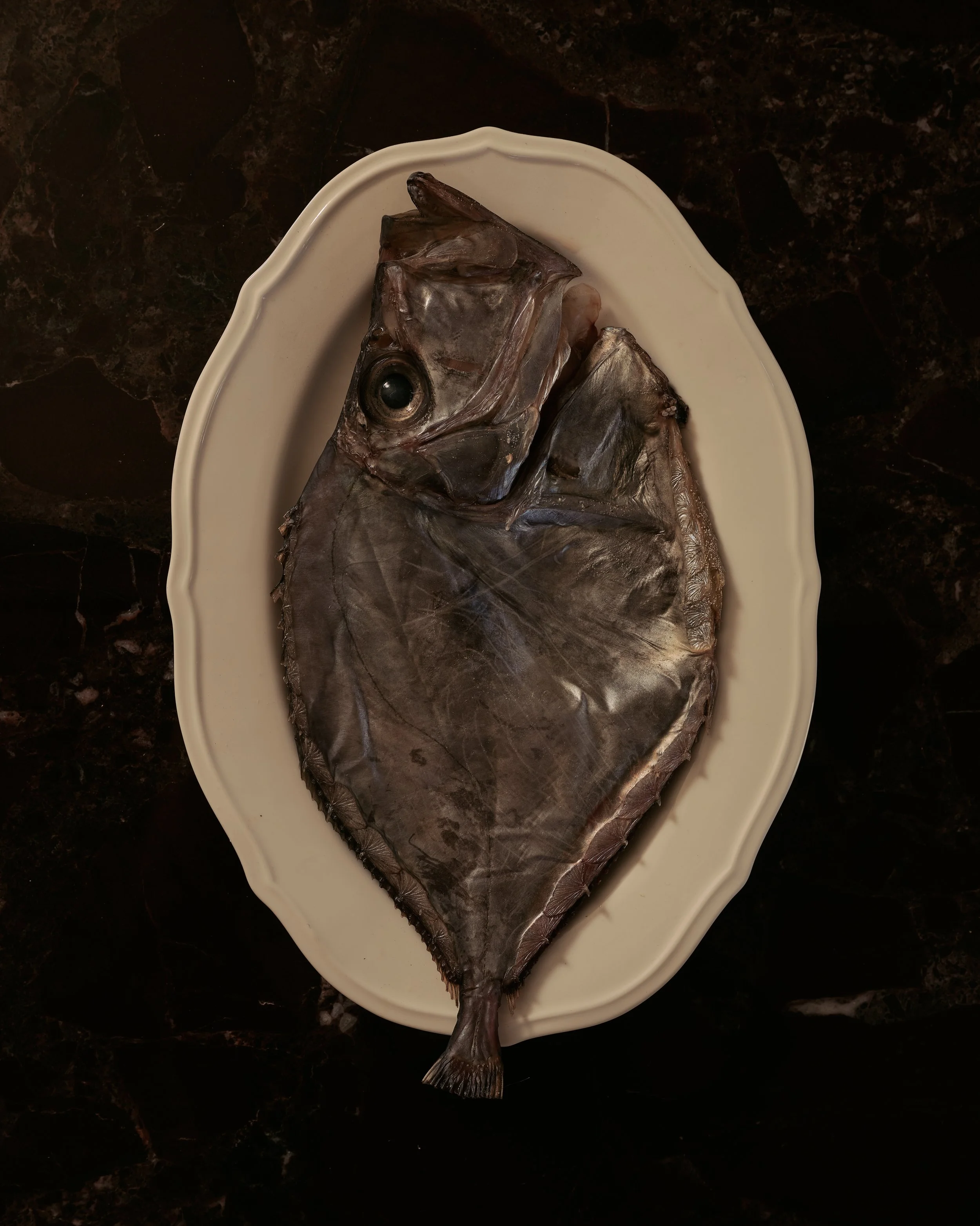 Copy of Aambra_3.jpeg