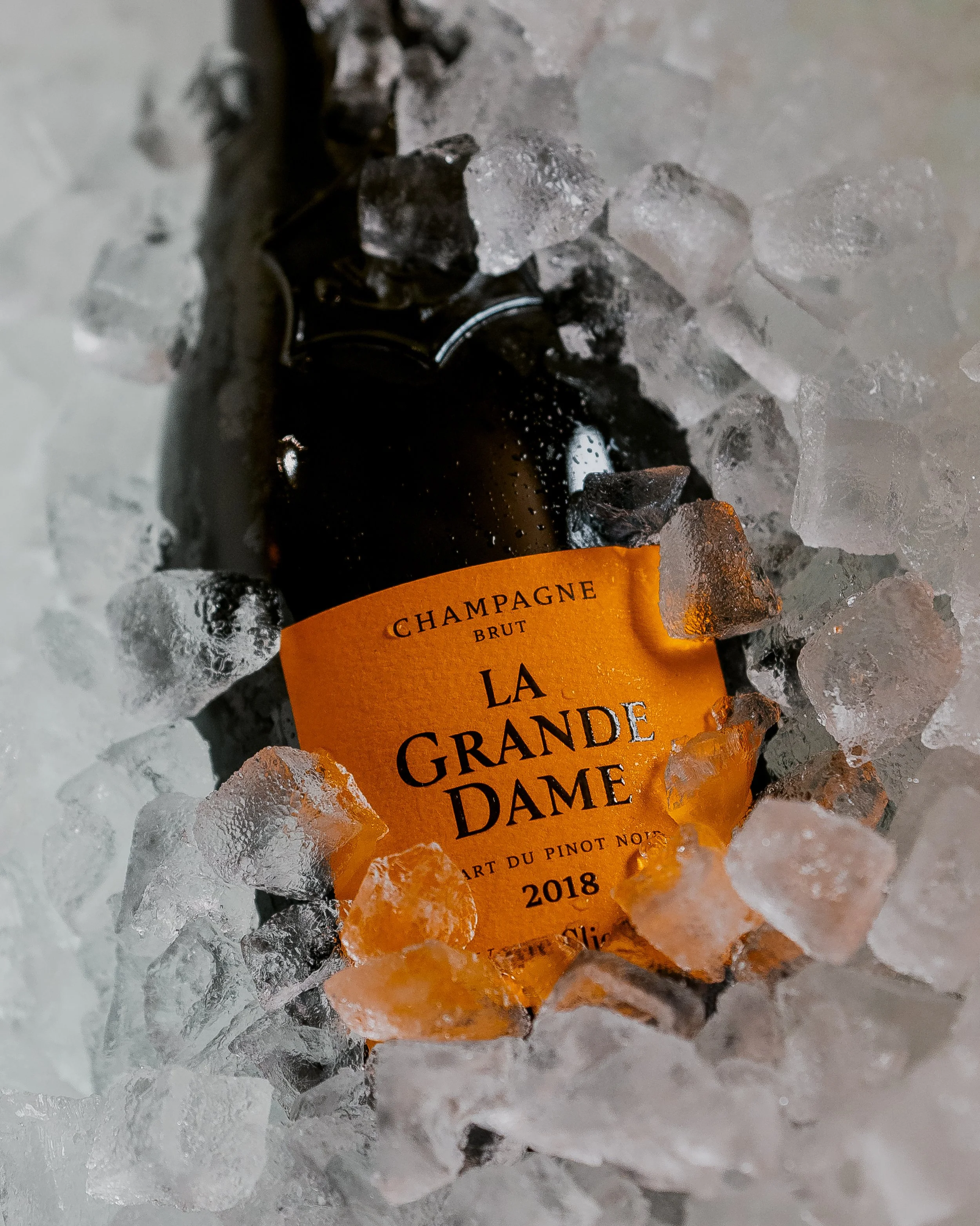 Felix X Veuve-7405890.jpg