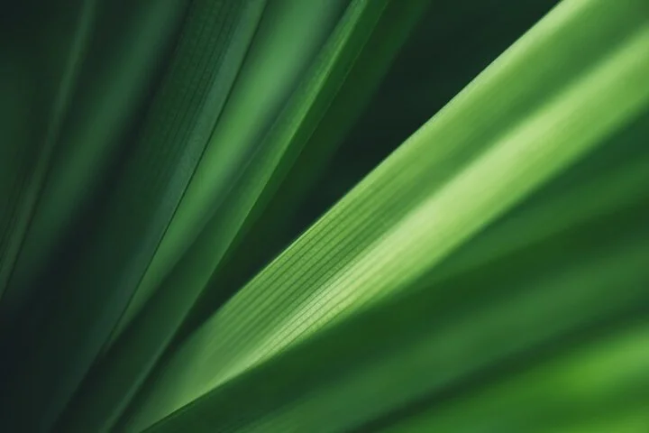 Environmental and Sustainability Policy