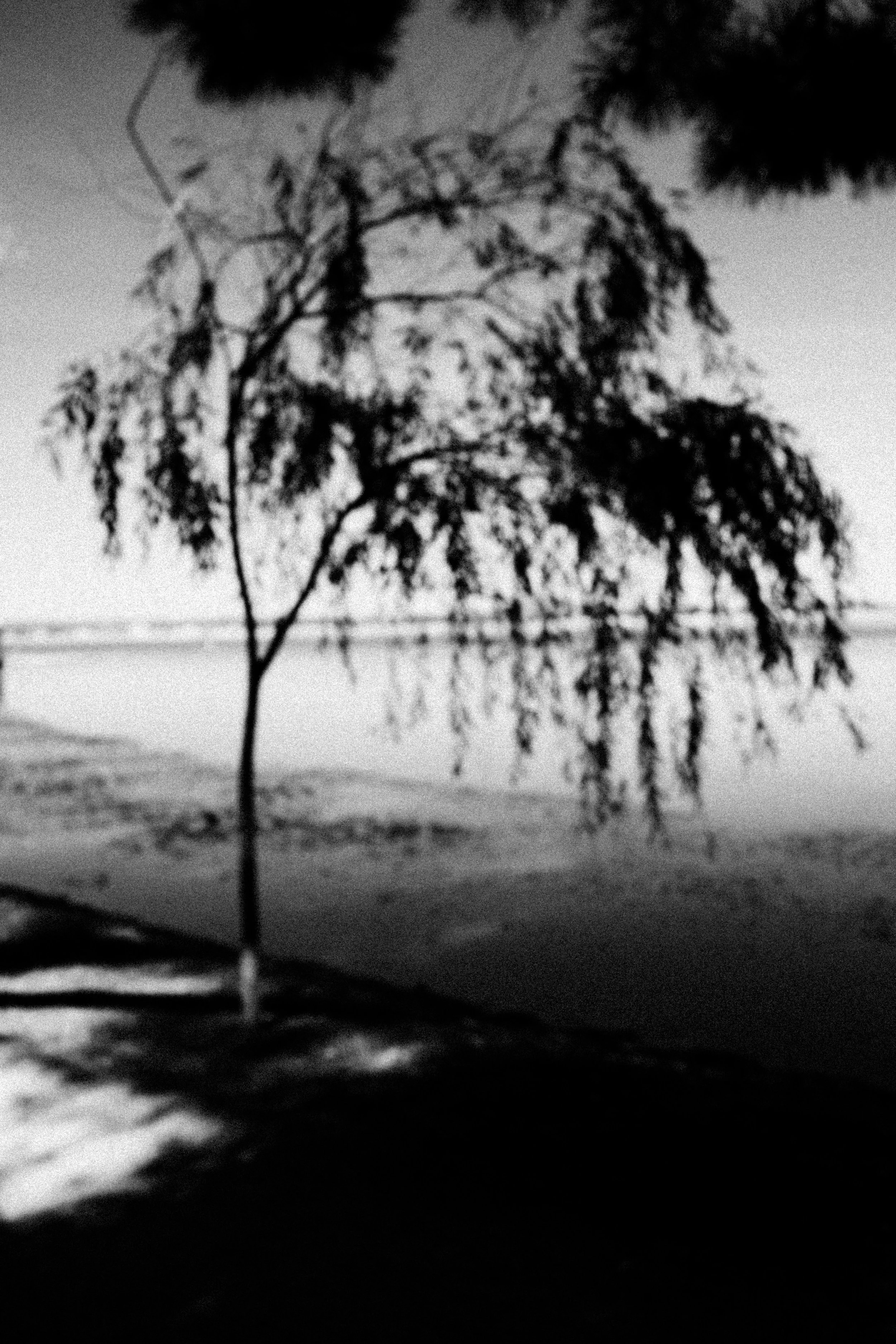 DSCF4820.jpg