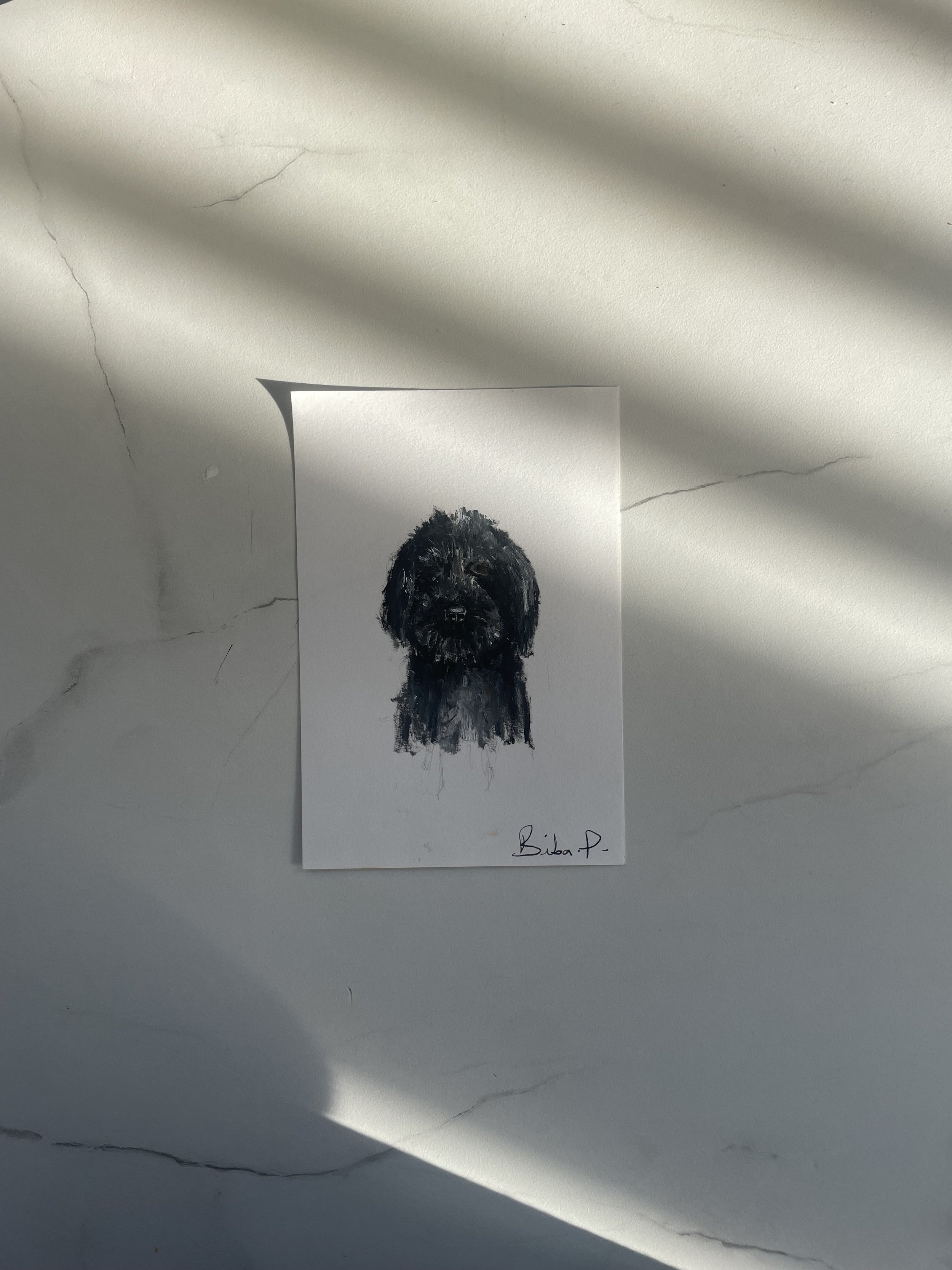 Cockapoo.jpg
