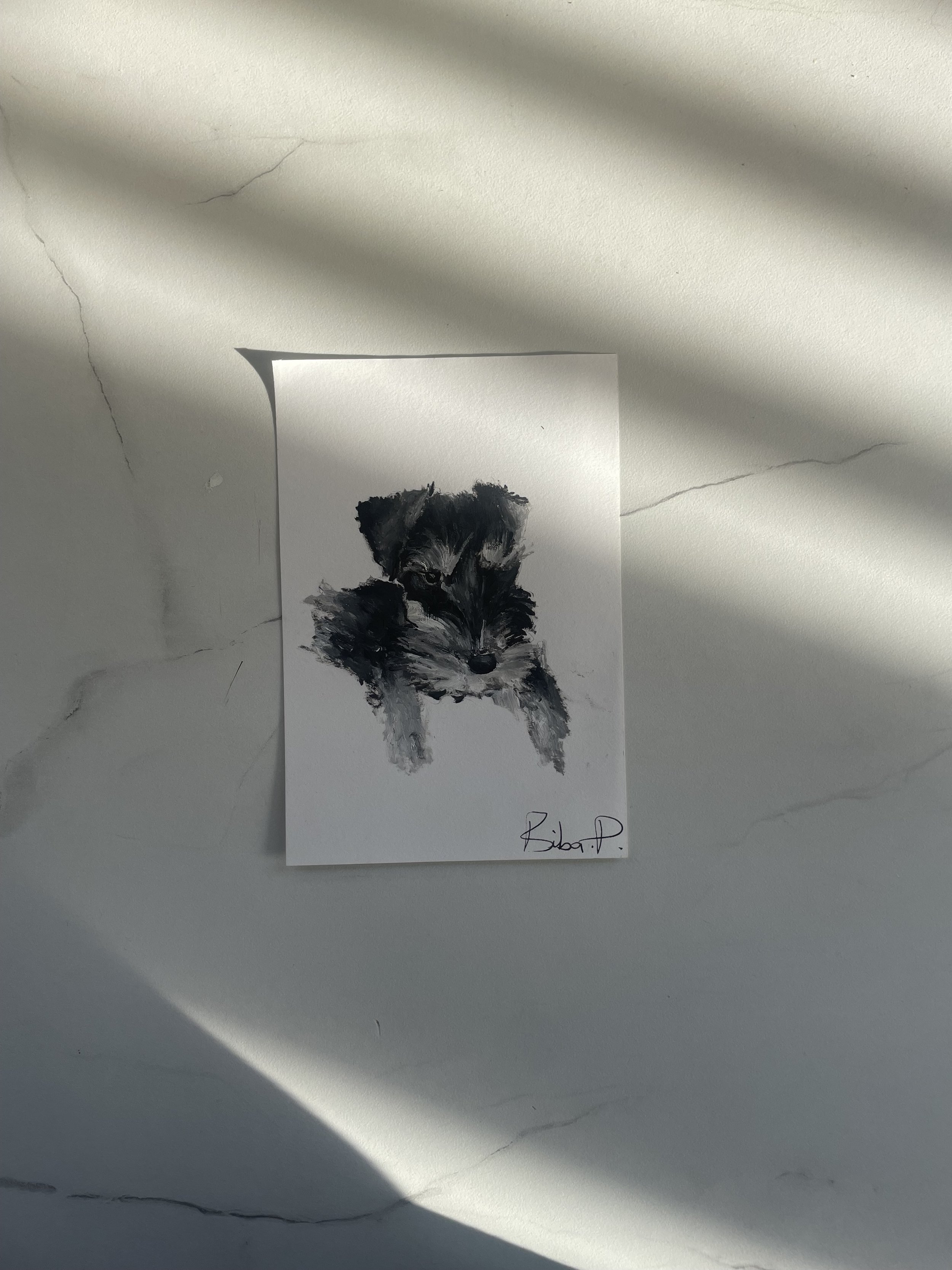 Terrier.jpg