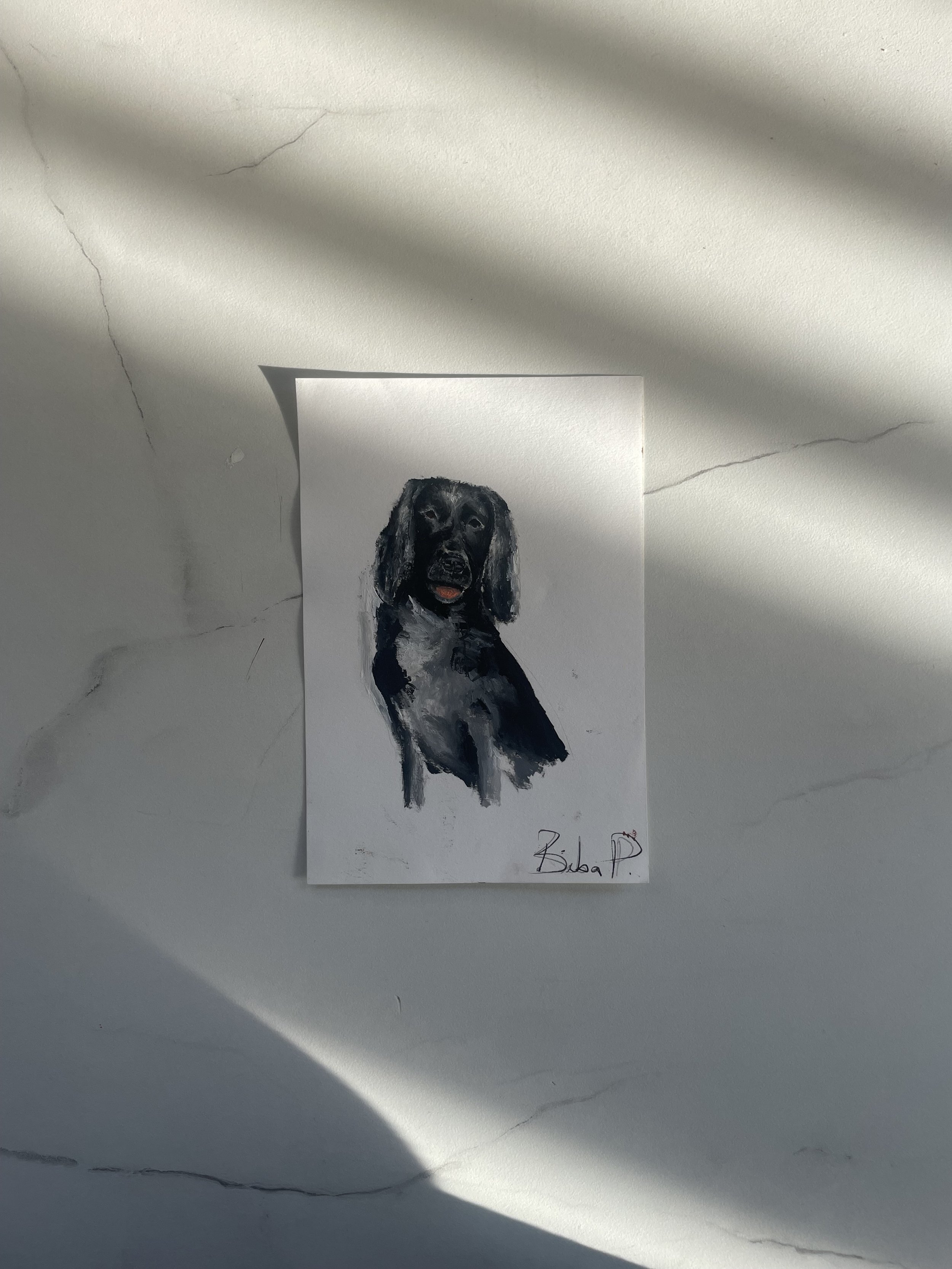 Lola.jpg