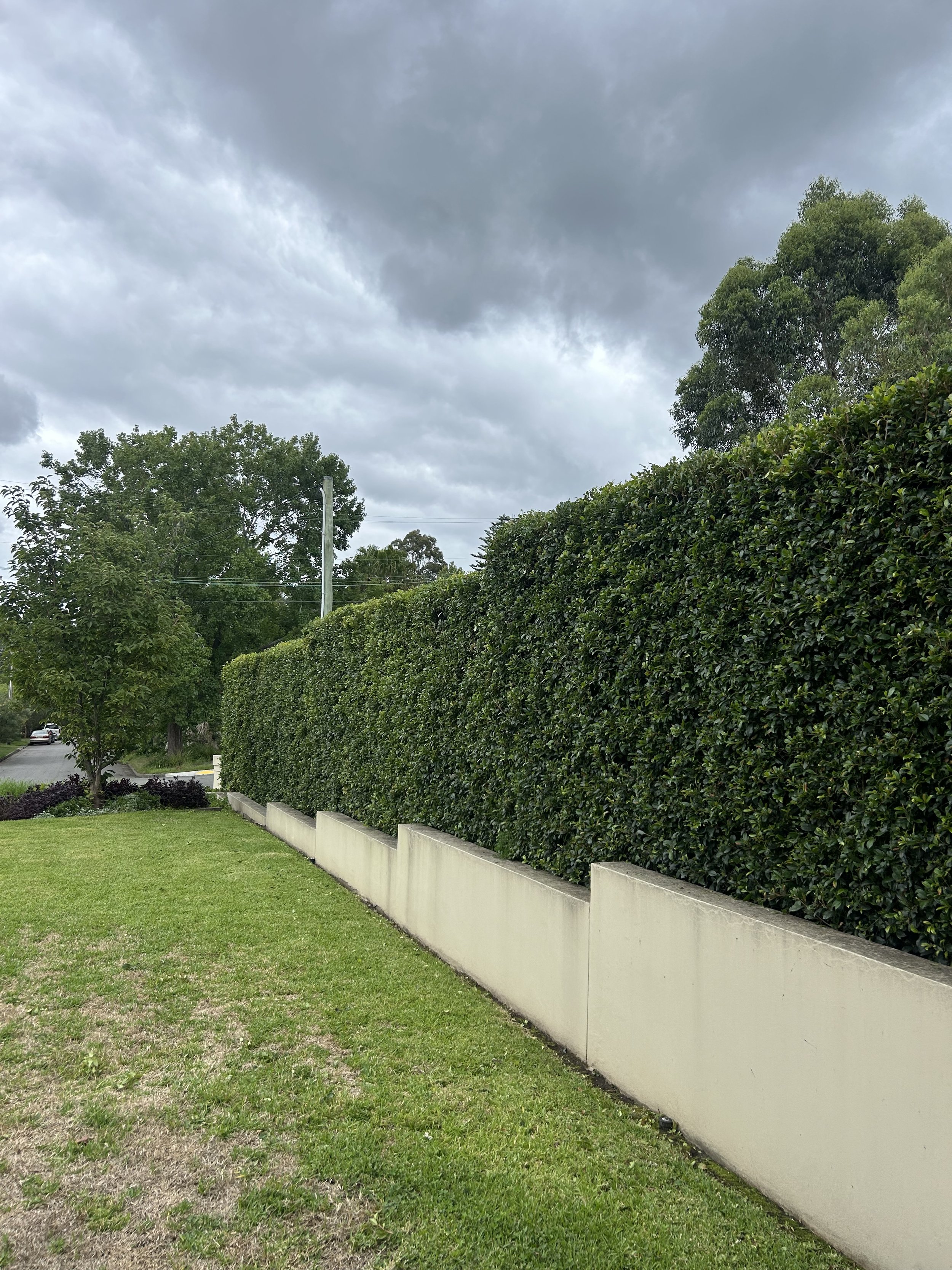 Oranssi project: wraparound deck