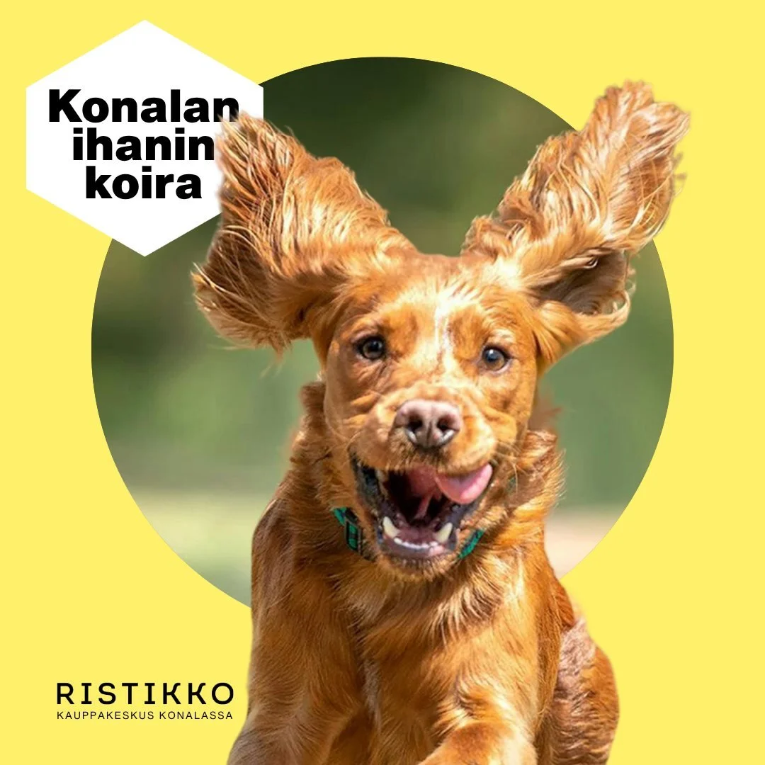 🐾 RISTIKON KARVAKAVERIT 🐾

Onko sinulla maailman suloisin, iloisin tai persoonallisin koira?

L&auml;het&auml; meille kuva koirastasi Ristikossa Facebookin tai Instagramin yksityisviestill&auml; ja osallistu arvontaan!

Valitsemme kuvien joukosta y