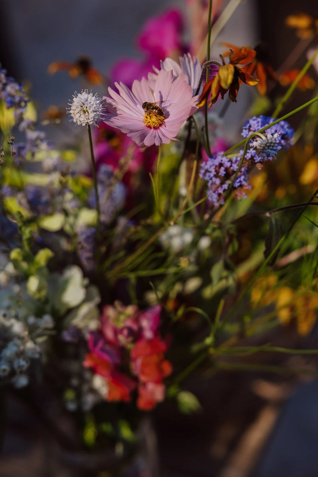 Ditte & Jeppe by mail_justine-hoegh.dk-220.jpg