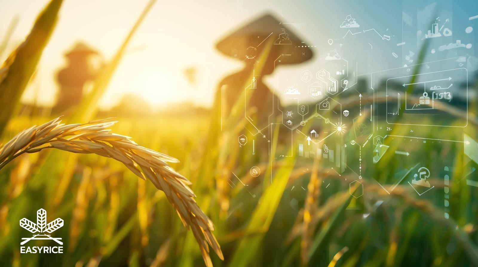 Founder Story (EasyRice): Why a Rice Exporter Built AI for Farmers