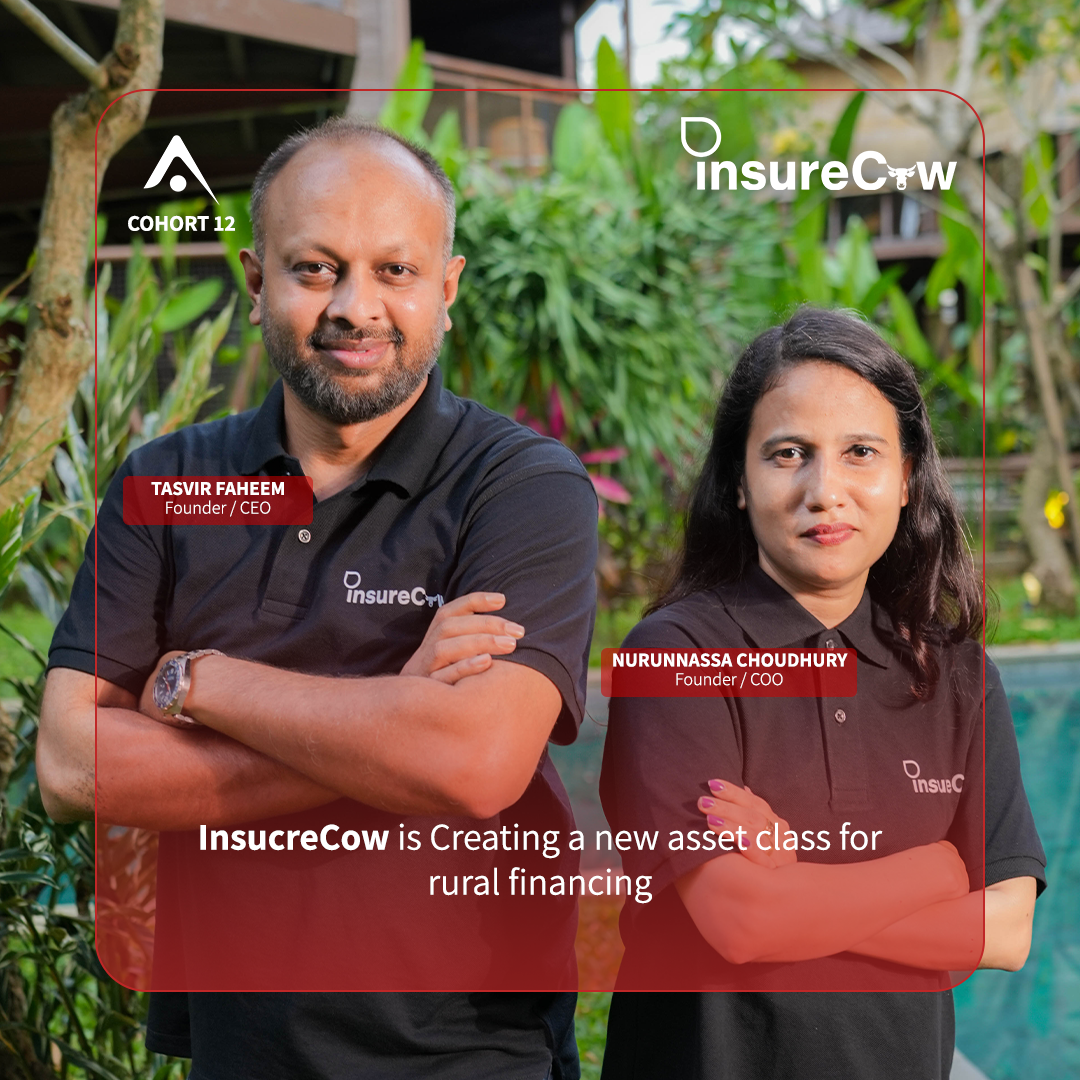 C12-InsureCow.png