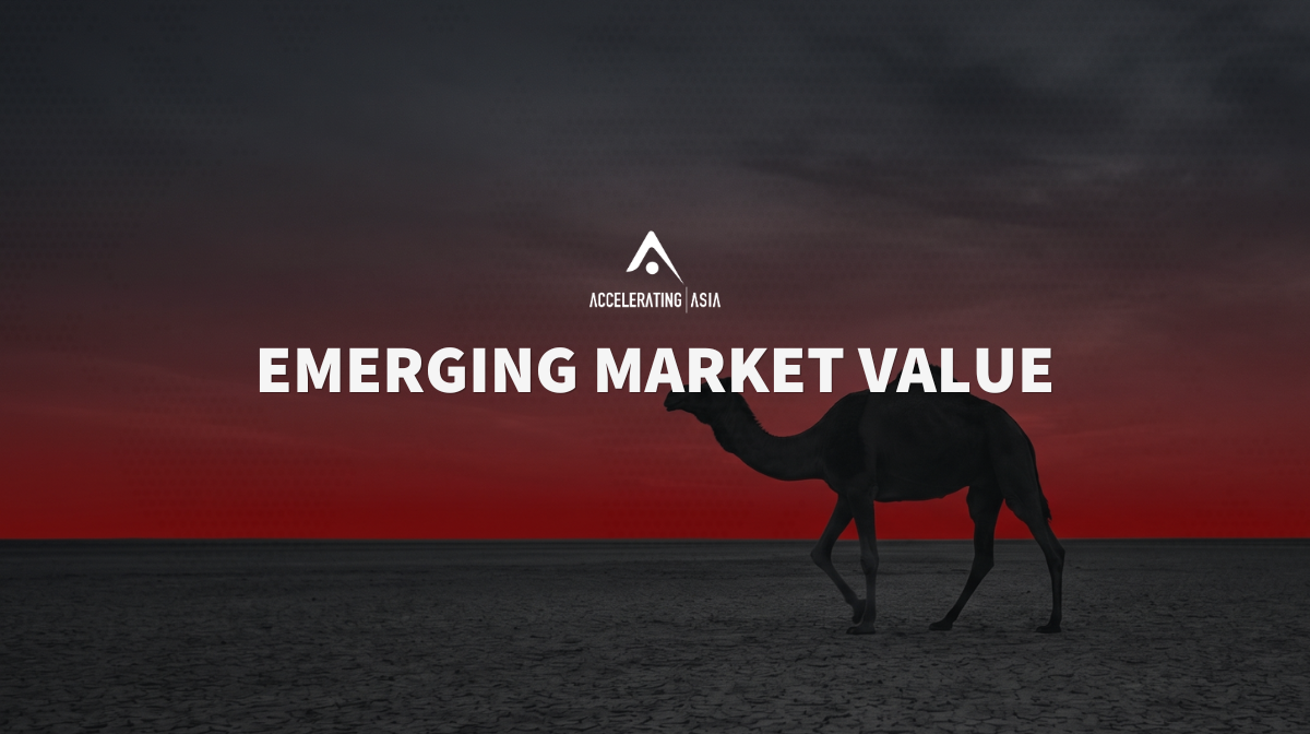 Why Emerging Market Venture, Now