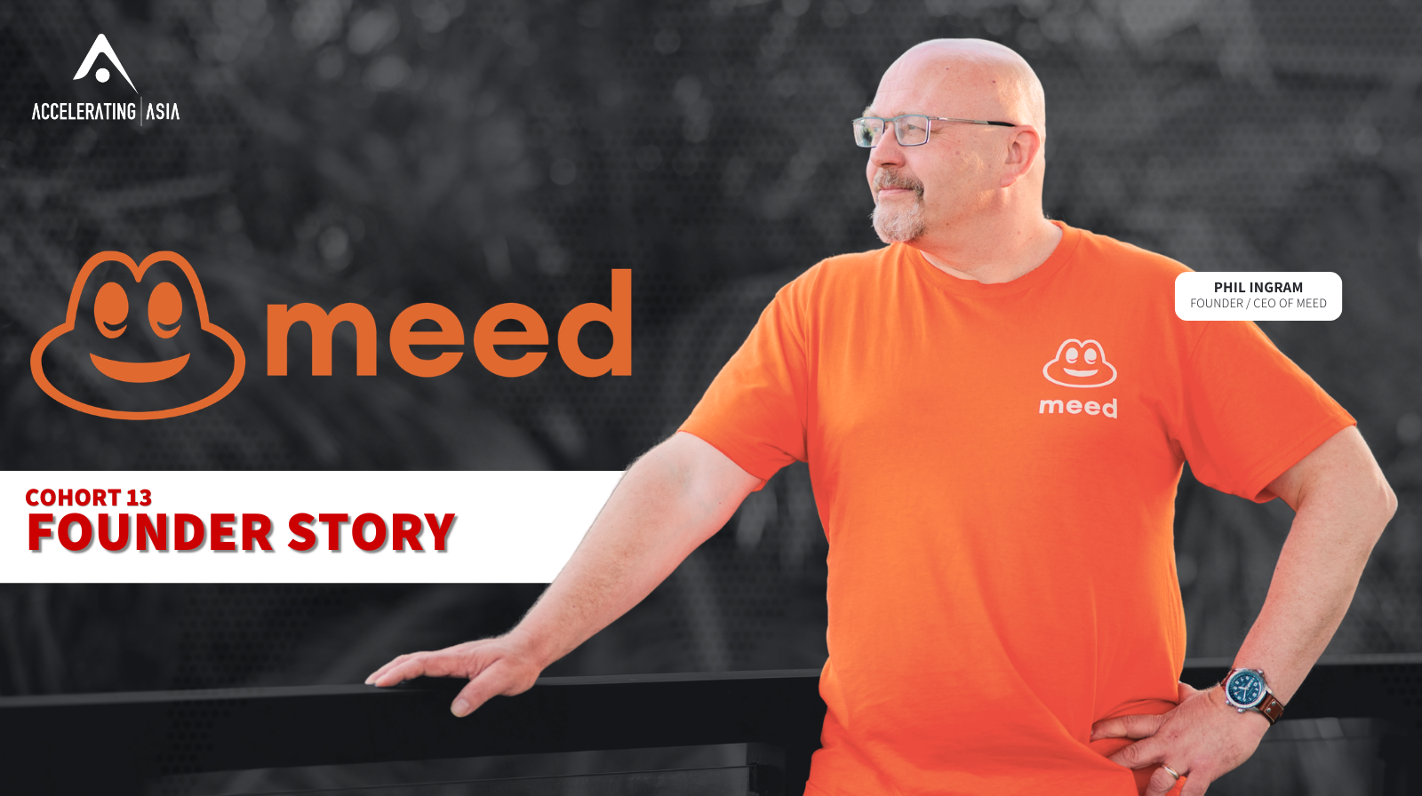 From sign-ups to revenue: What meed changed during Cohort 13