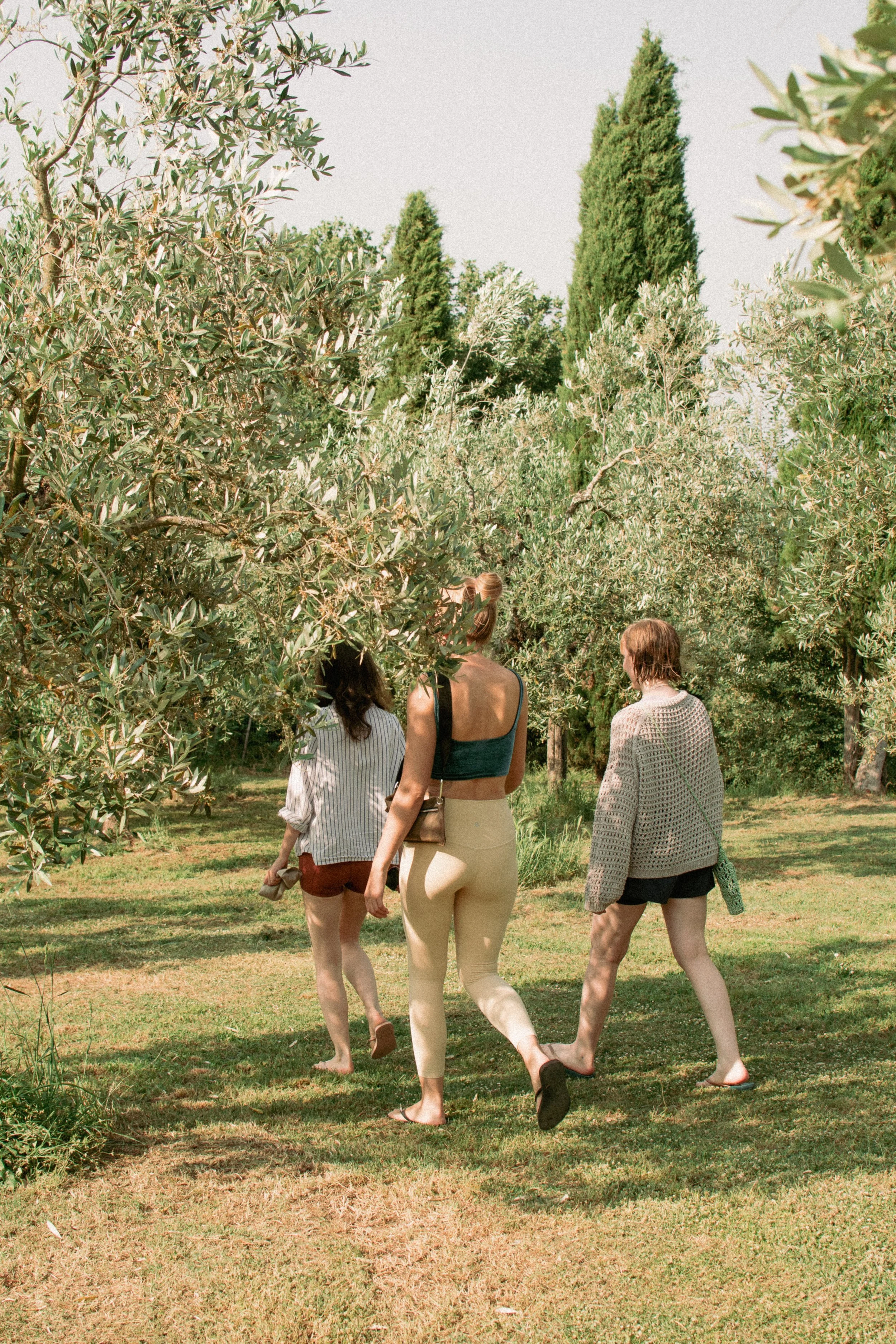 A Day at Maraviglia: Life on a Tuscan Olive Farm
