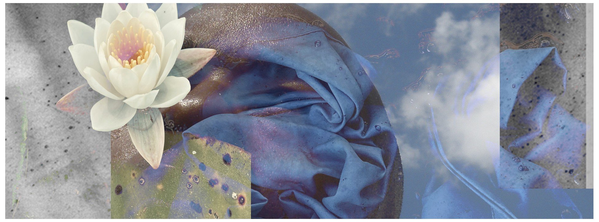 A white water lily flower floating on water near a blue cloth and a circular object with dirt and water spots.