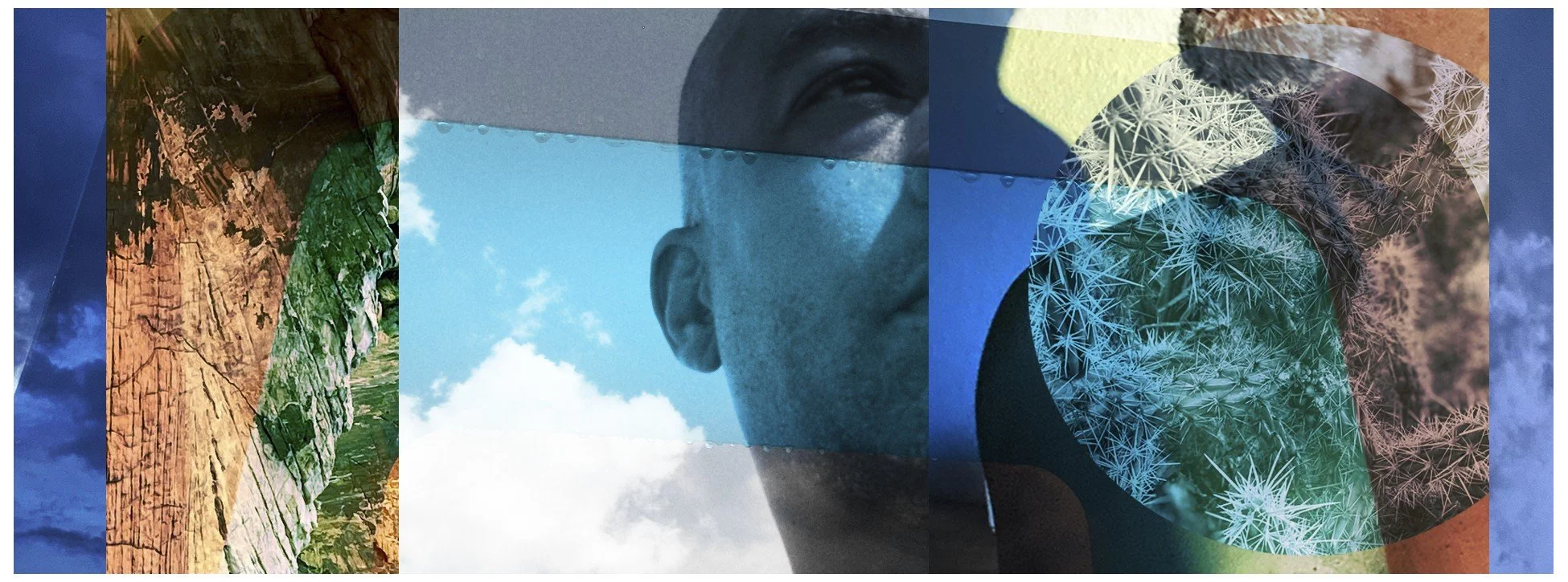 Digital collage of a face with sunglasses, a desert landscape with green foliage, a blue sky with clouds, and a close-up of cacti.
