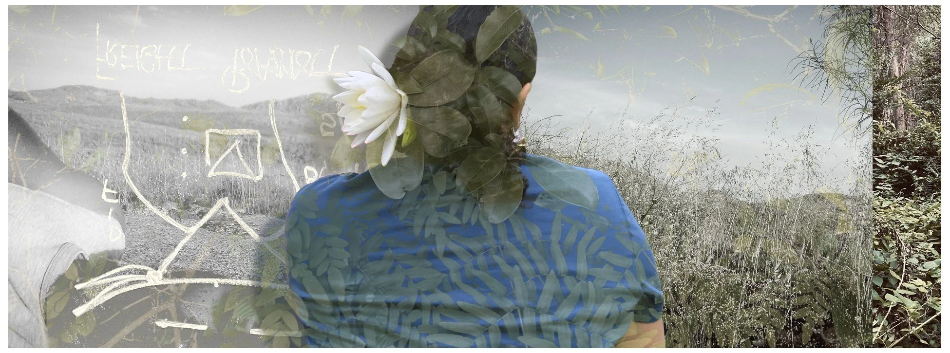 A person with a flower in their hair seen from behind, looking at handwritten notes and sketches on a transparent surface, with a natural landscape background.