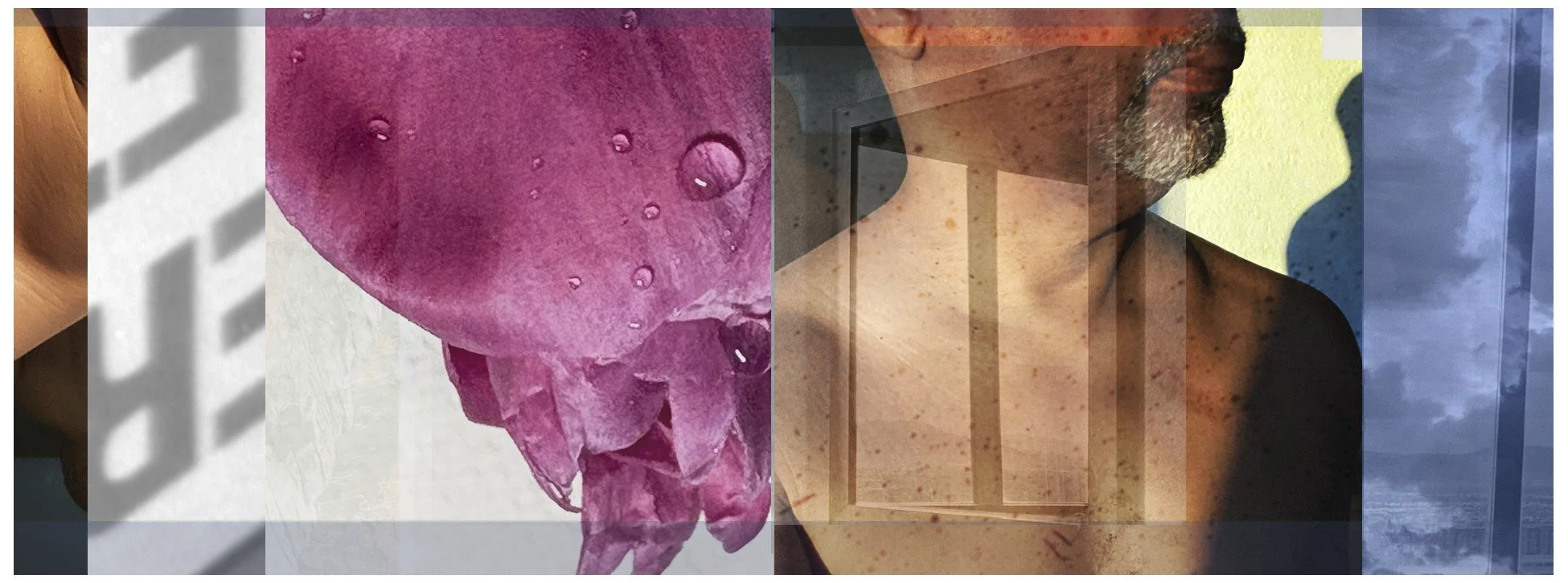 A collage featuring a pink flower with raindrops, a shirtless man with a beard, a woman with a head covering, and a cloudy sky with ocean view.