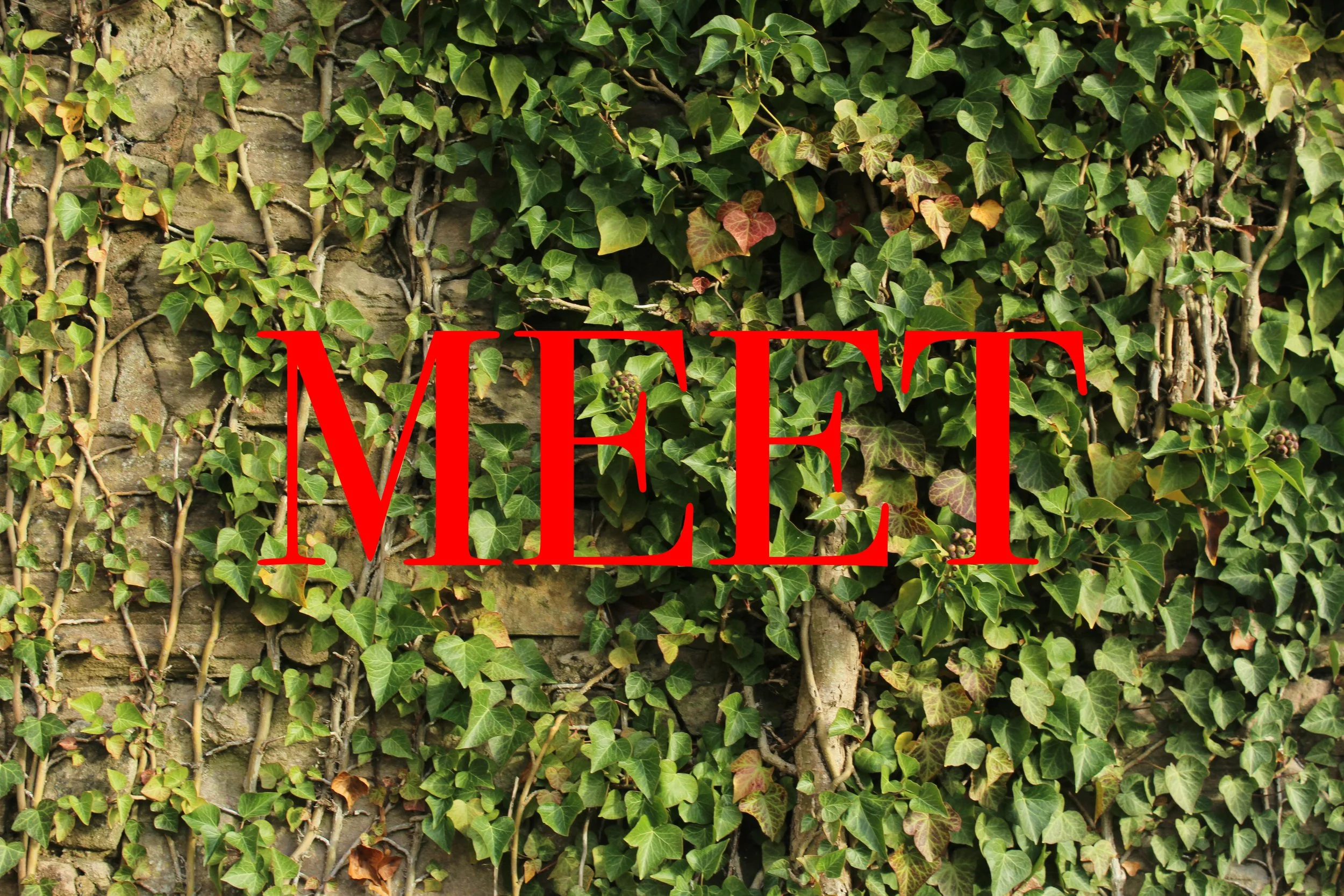 Green ivy leaves growing on a stone wall with the word "MET" in large red letters overlaid.