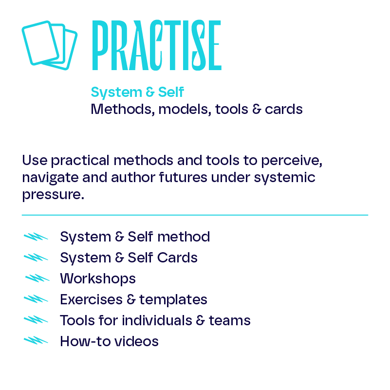 A  graphic about Futuremade PRACTISE System & Self Methods, models, tools & cards'  including system & self method, system & self cards, workshops, exercises & templates, tools for individuals & teams, and how-to videos.