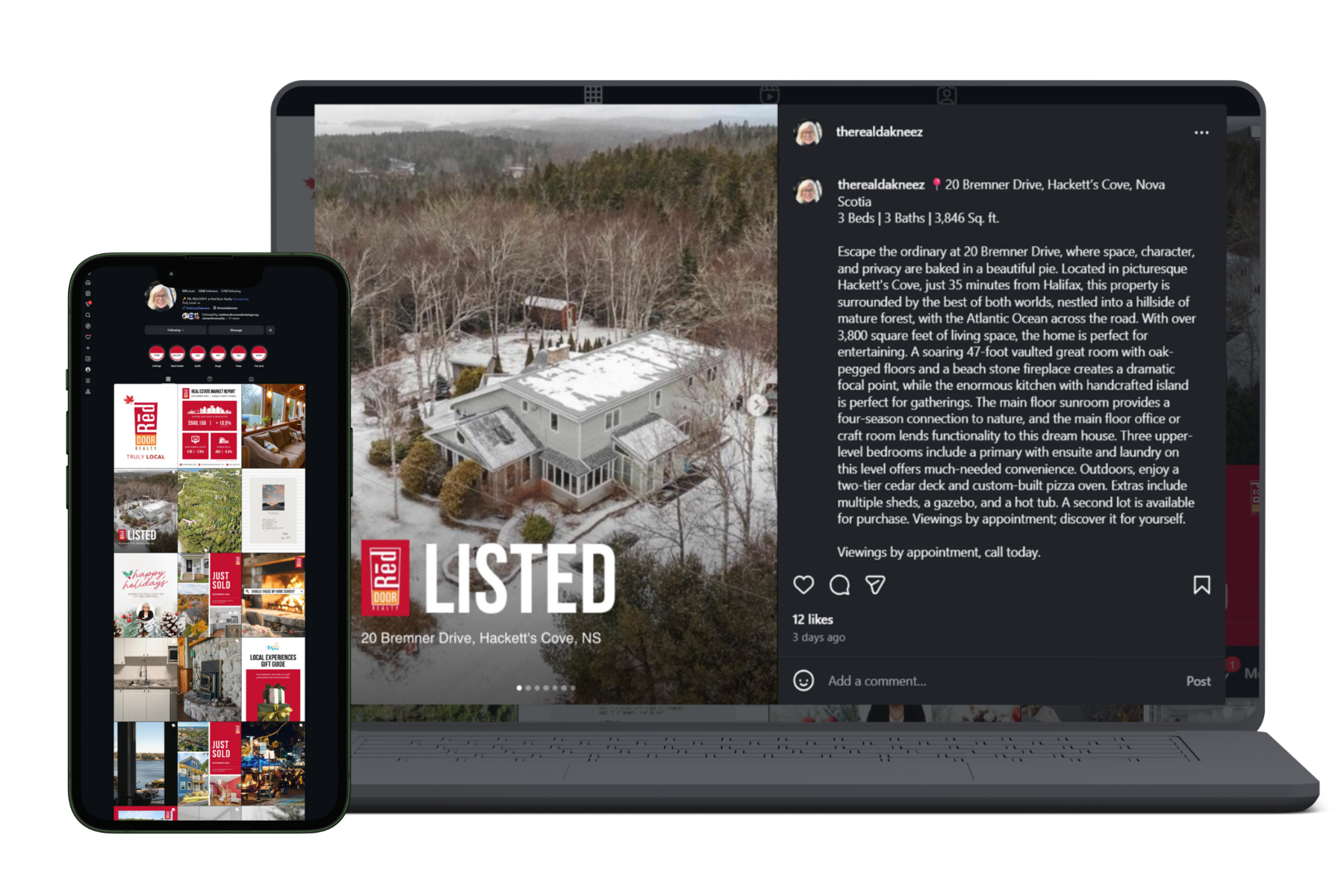 Denise Portfolio Update (1).png