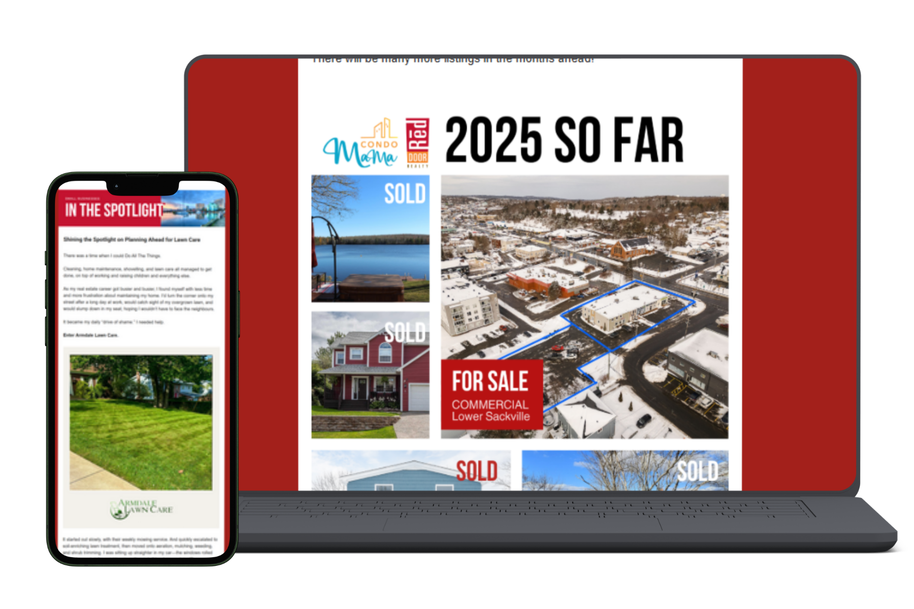 Denise Portfolio Update (7).png