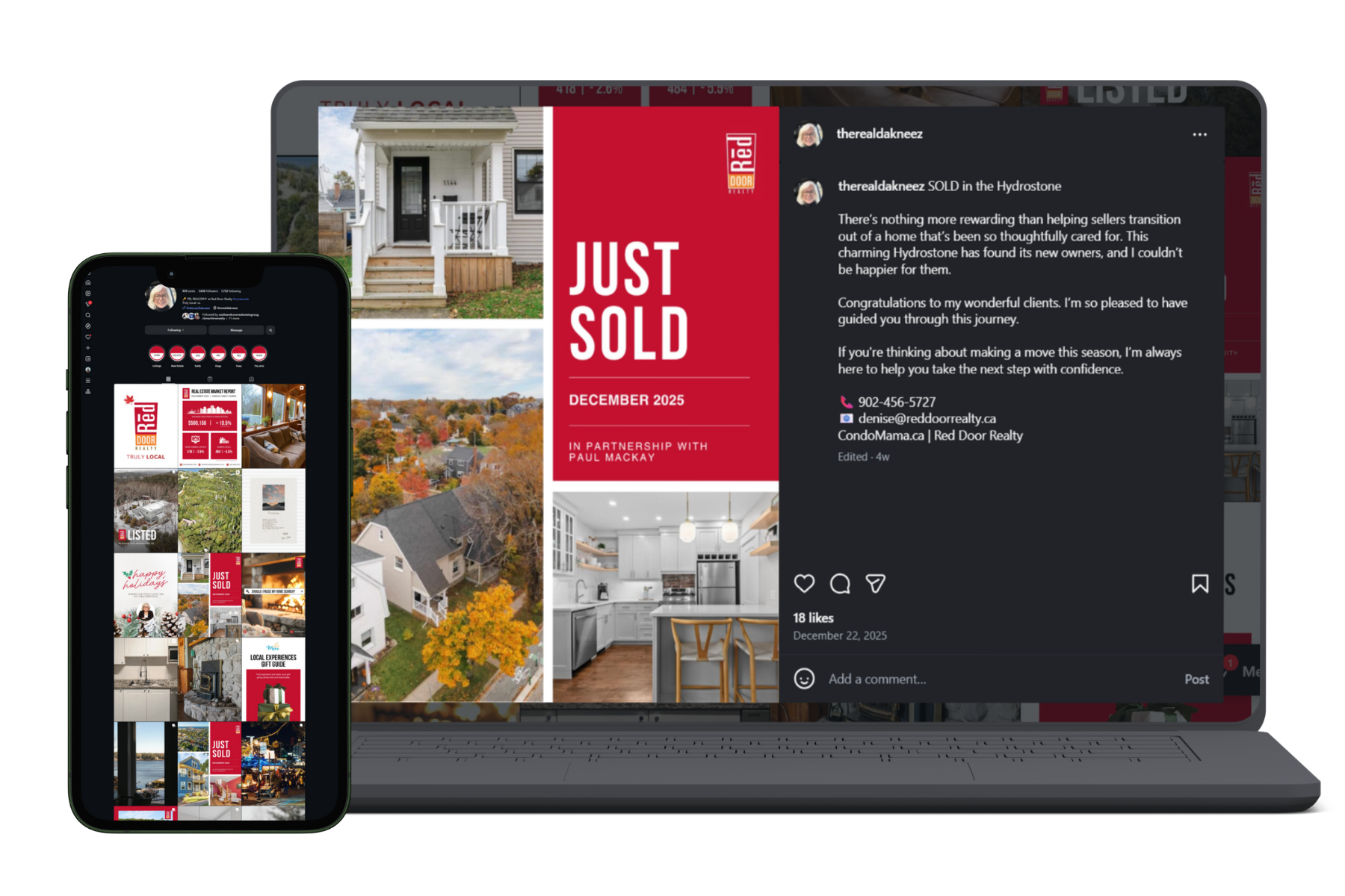 Denise Portfolio Update (4).png