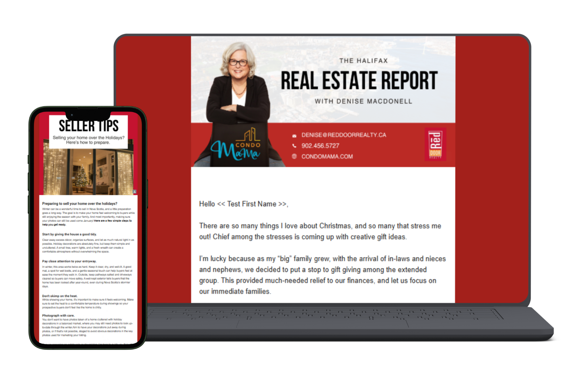 Denise Portfolio Update.png