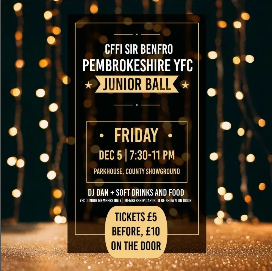 Youth Forum: Junior Christmas Ball