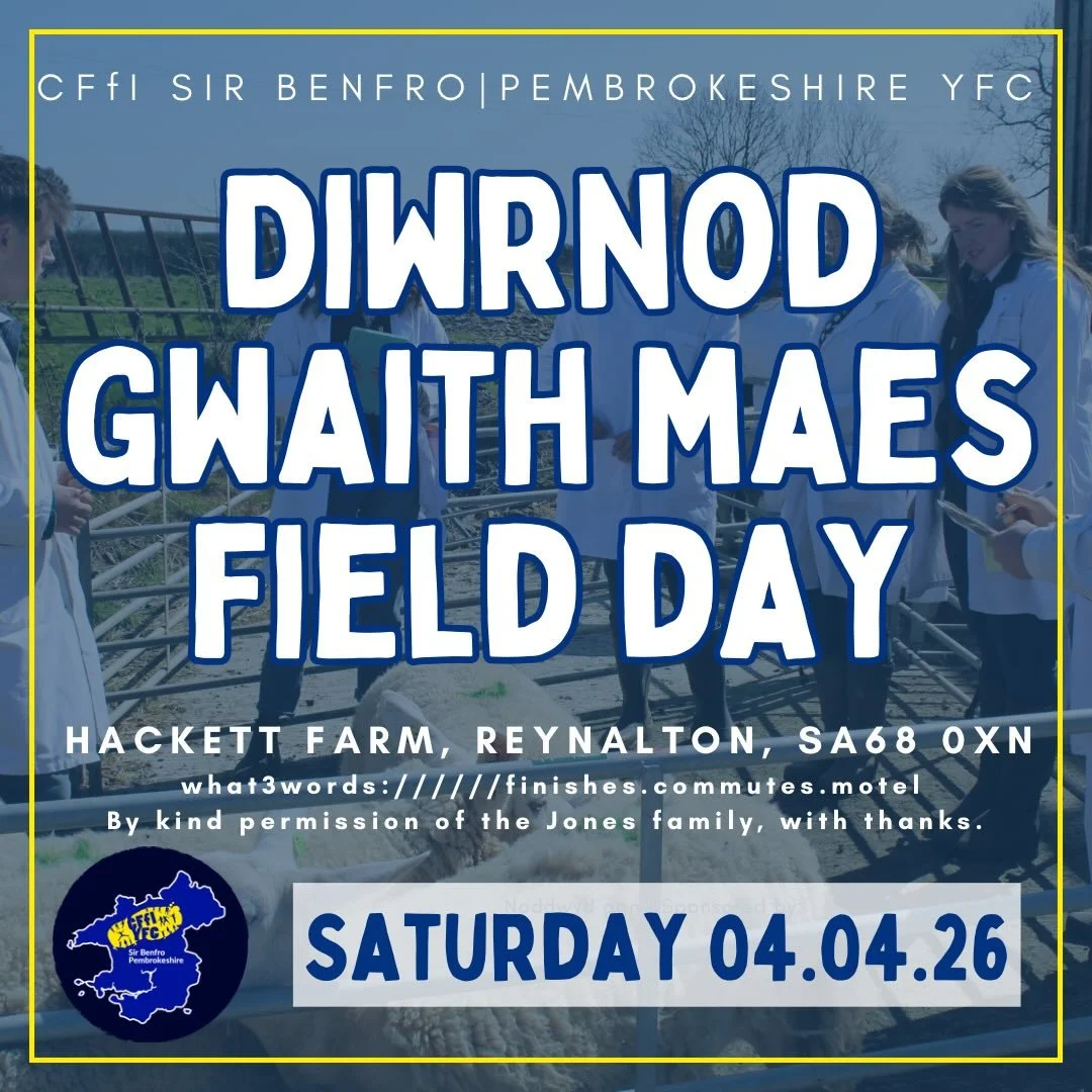 🚜 𝐃𝐈𝐖𝐑𝐍𝐎𝐃 𝐆𝐖𝐀𝐈𝐓𝐇 𝐌𝐀𝐄𝐒 &bull; 𝐅𝐈𝐄𝐋𝐃 𝐃𝐀𝐘 🐮 

📆 04.04.26
📍 Hackett Farm, SA68 0XN
By kind permission of the Jones family!
///finishes.commutes.motel
🍔 Food available
⚠️Biosecurity measures in place - please wear wellies or 