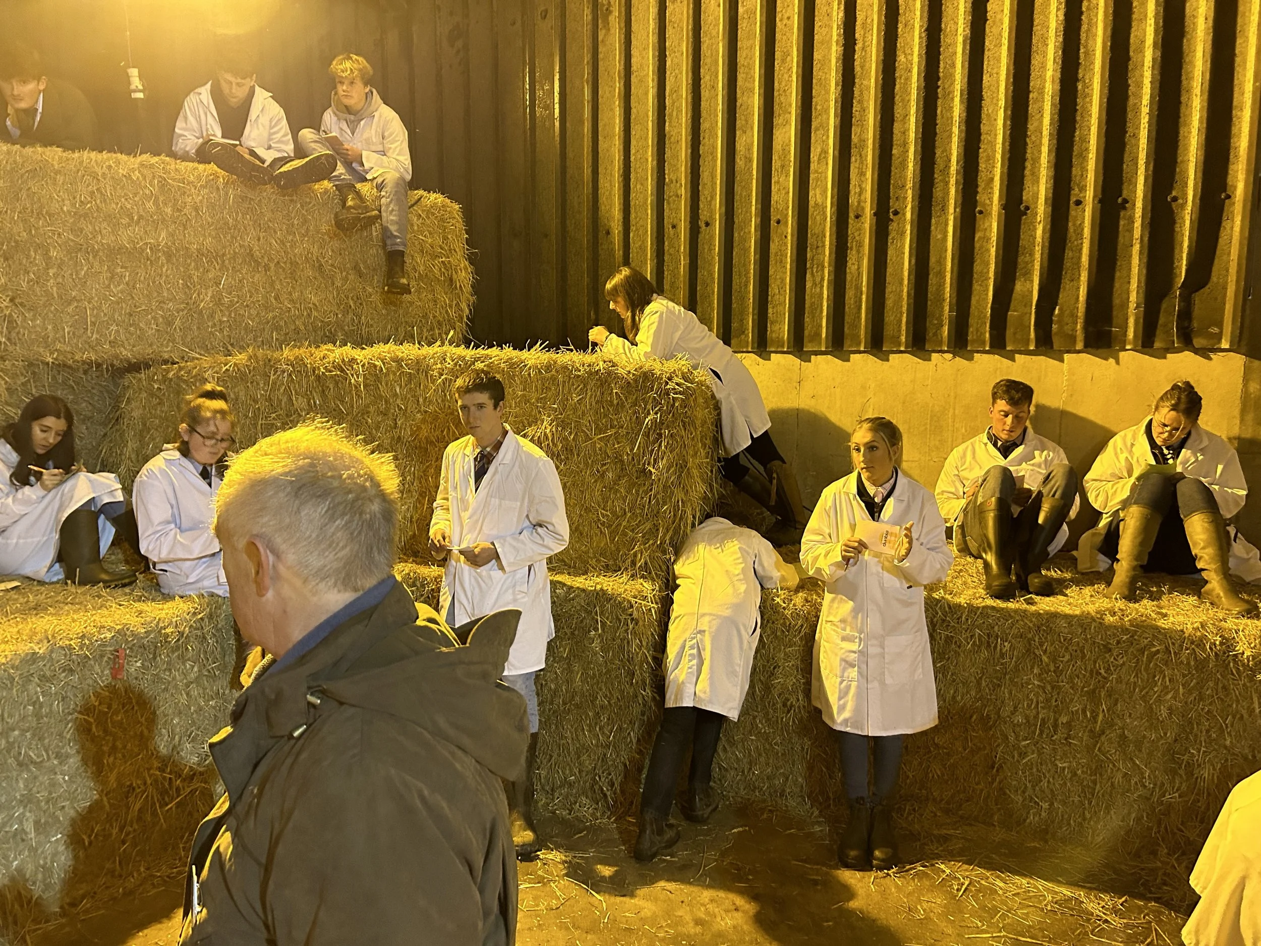 Pembs YFC County Winter Fair