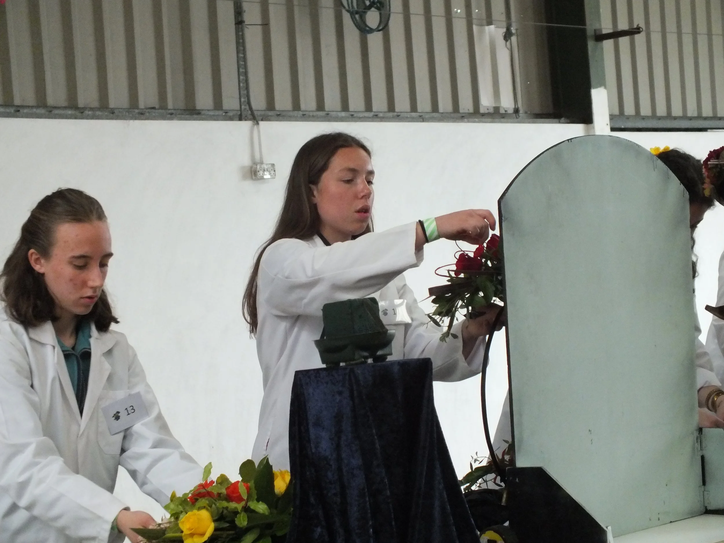 DSCF1893.JPG