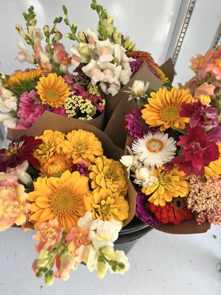 Flower CSA Memberships – Locally Grown, Seasonally Inspired