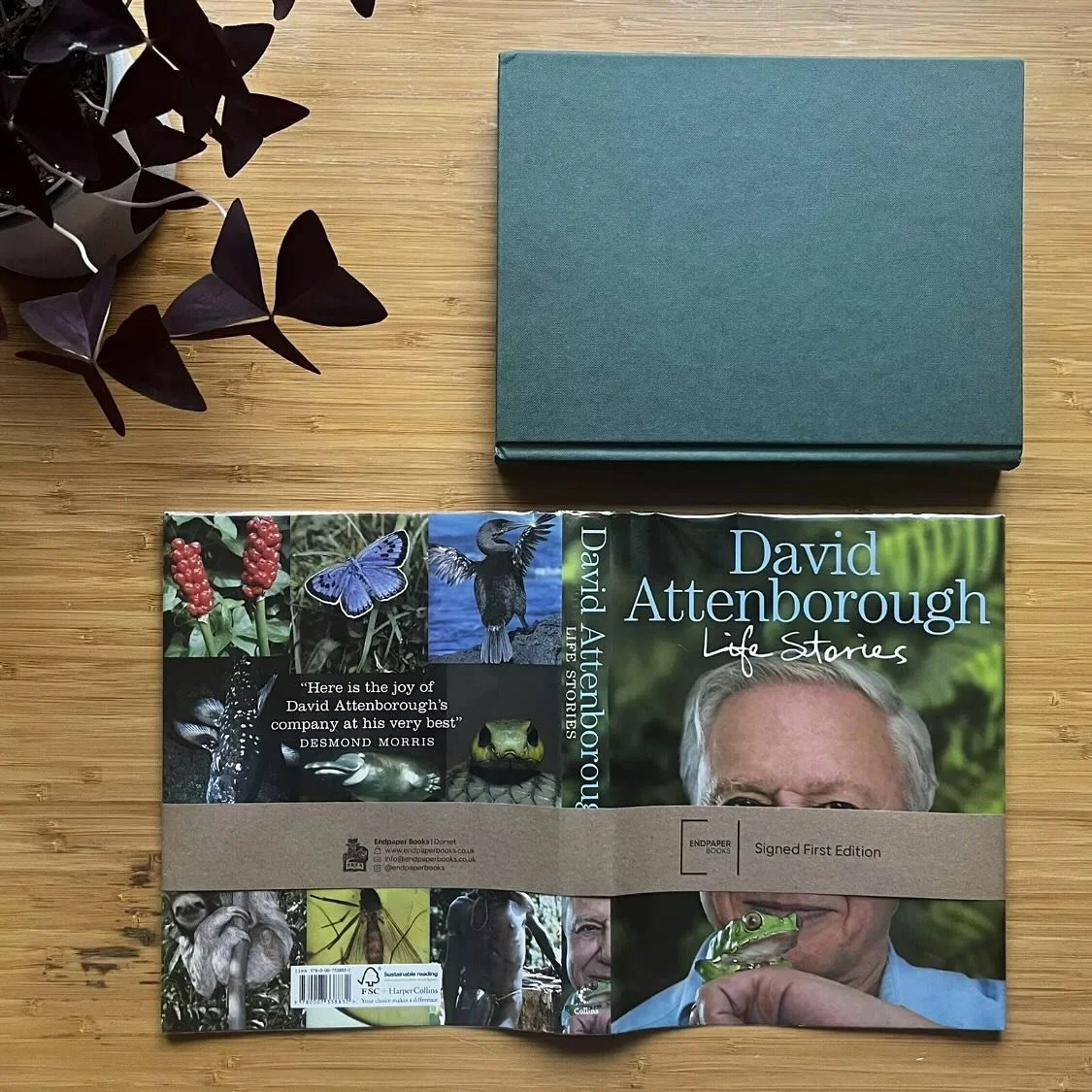 We&rsquo;ll have a great selection of signed first edition David Attenborough books available at London&rsquo;s Christmas Book Fair this weekend.

Come see us!
@pbfabooks Christmas Book Fair, London
Holiday Inn, Bloomsbury
Sunday 1st December

#david