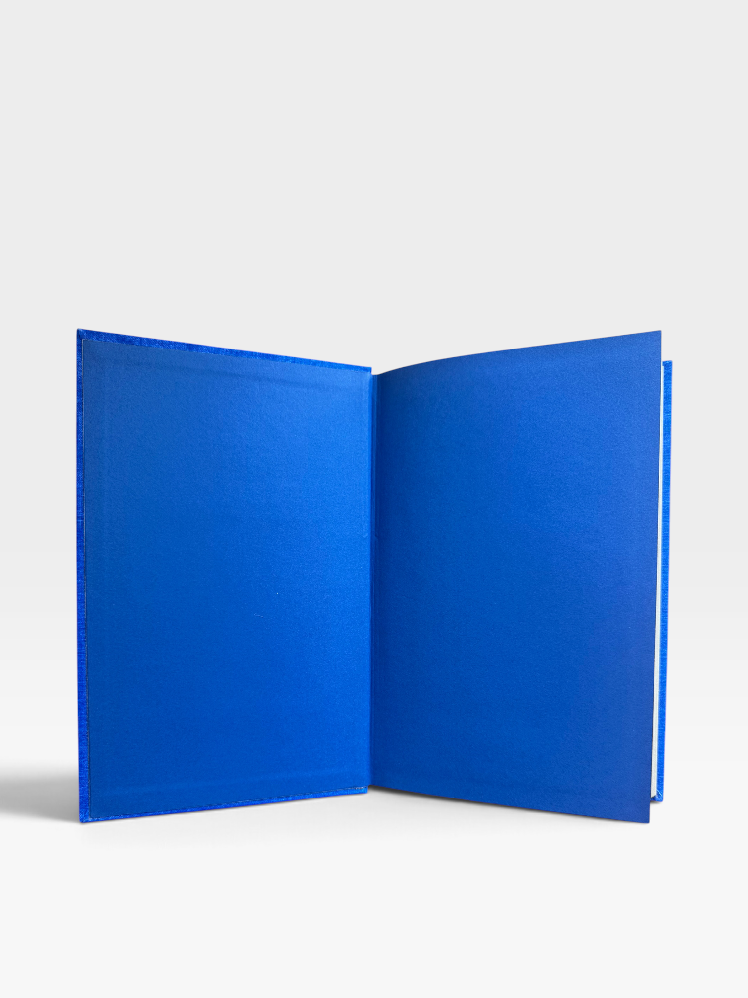 IMG_0700-Photoroom.png