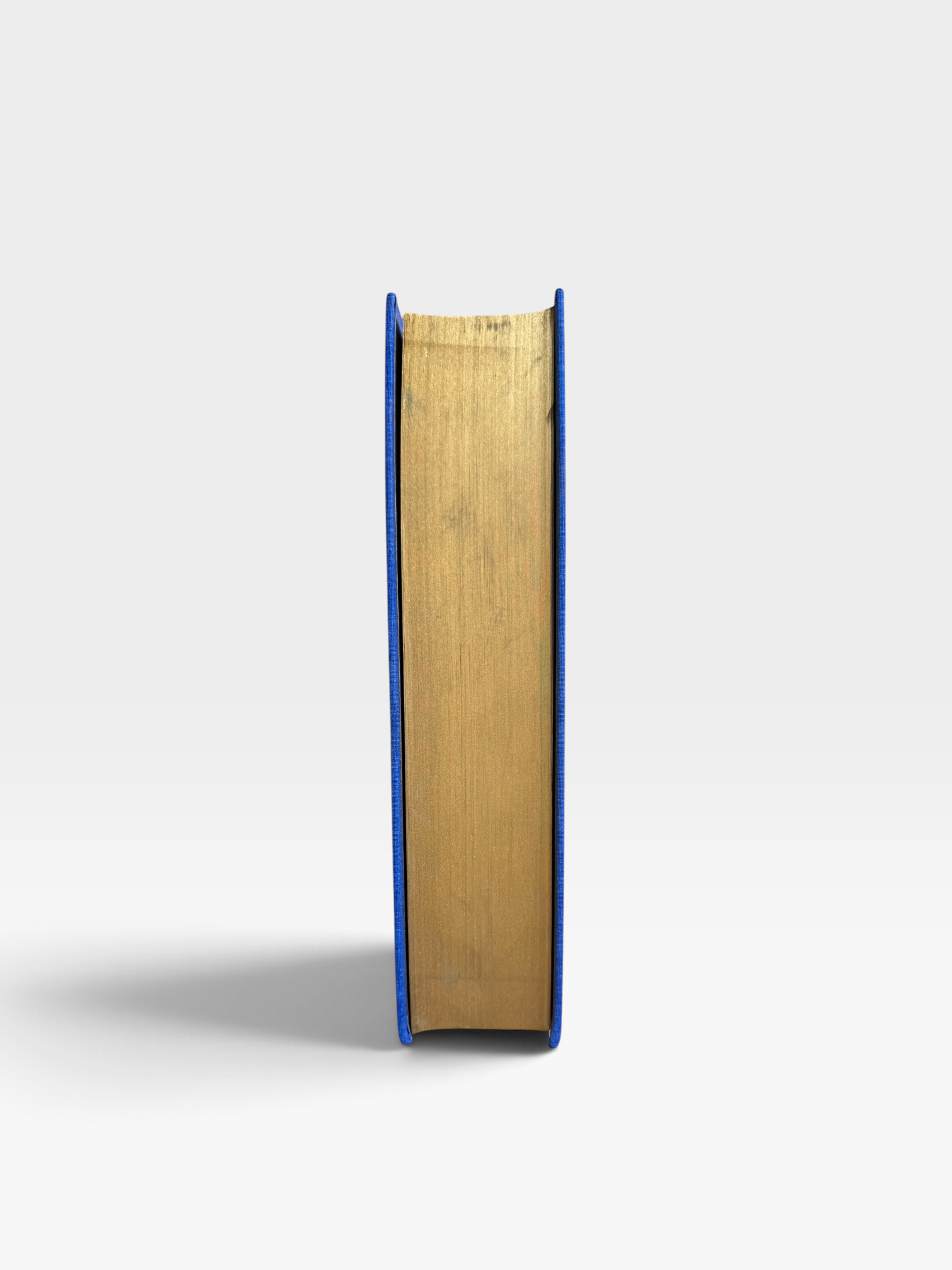 IMG_0698-Photoroom.png