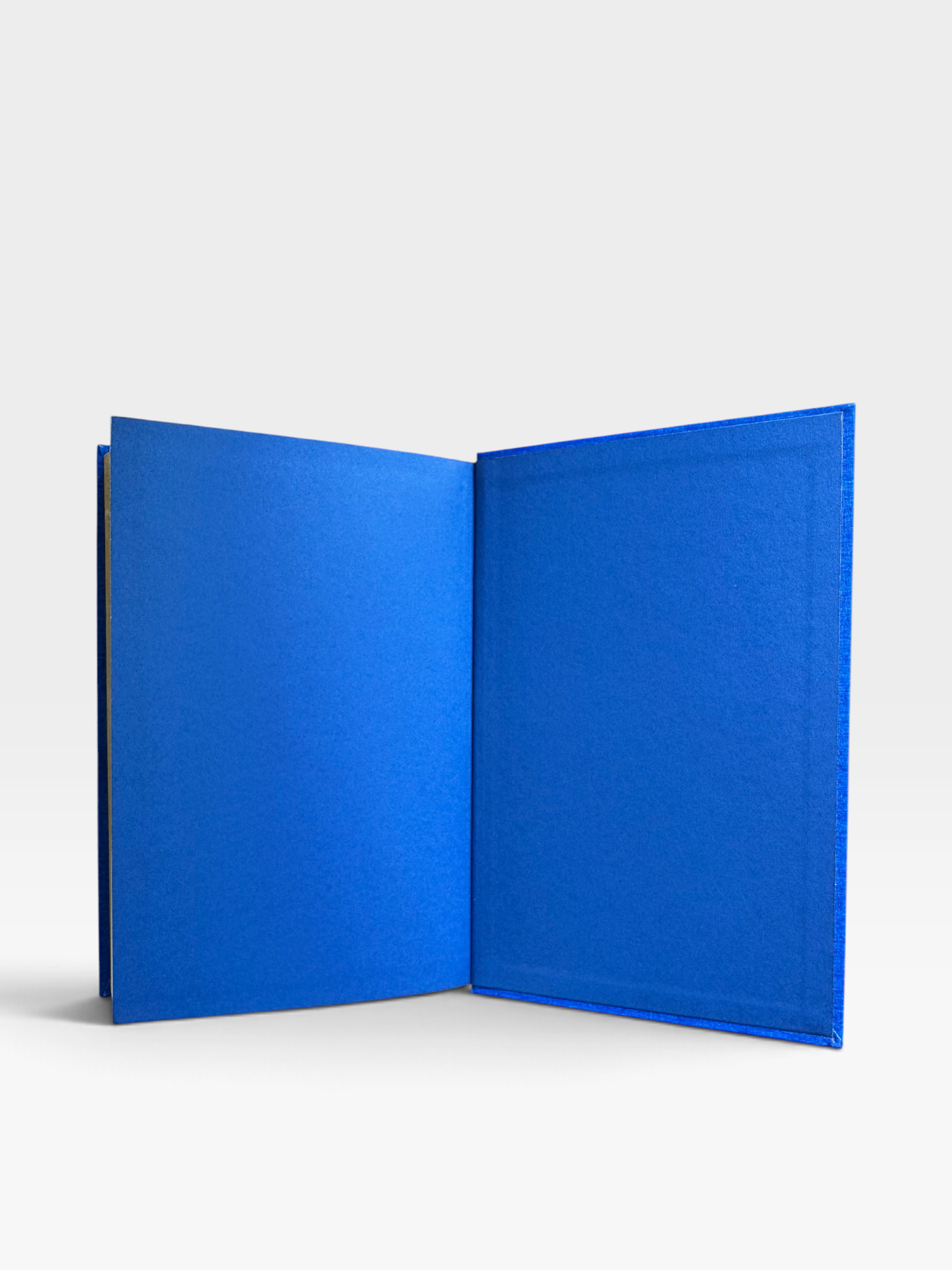 IMG_0705-Photoroom.png