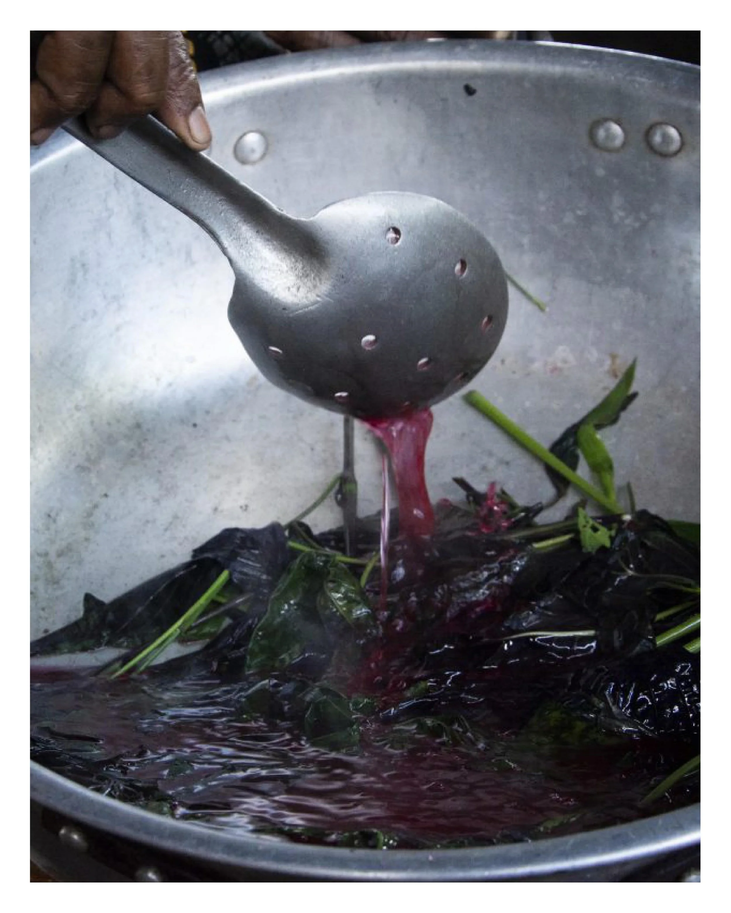 PACIFIC PIGMENTS: MANGROVES, RAINFORESTS AND TERRITORY
Workshop by Carmen Caro 
06.06.2026, 11:00 - 15:00
Language: Spanish / English
Location: berlin textile coop.

An intensive workshop exploring natural pigments through the lens of territory, ecol