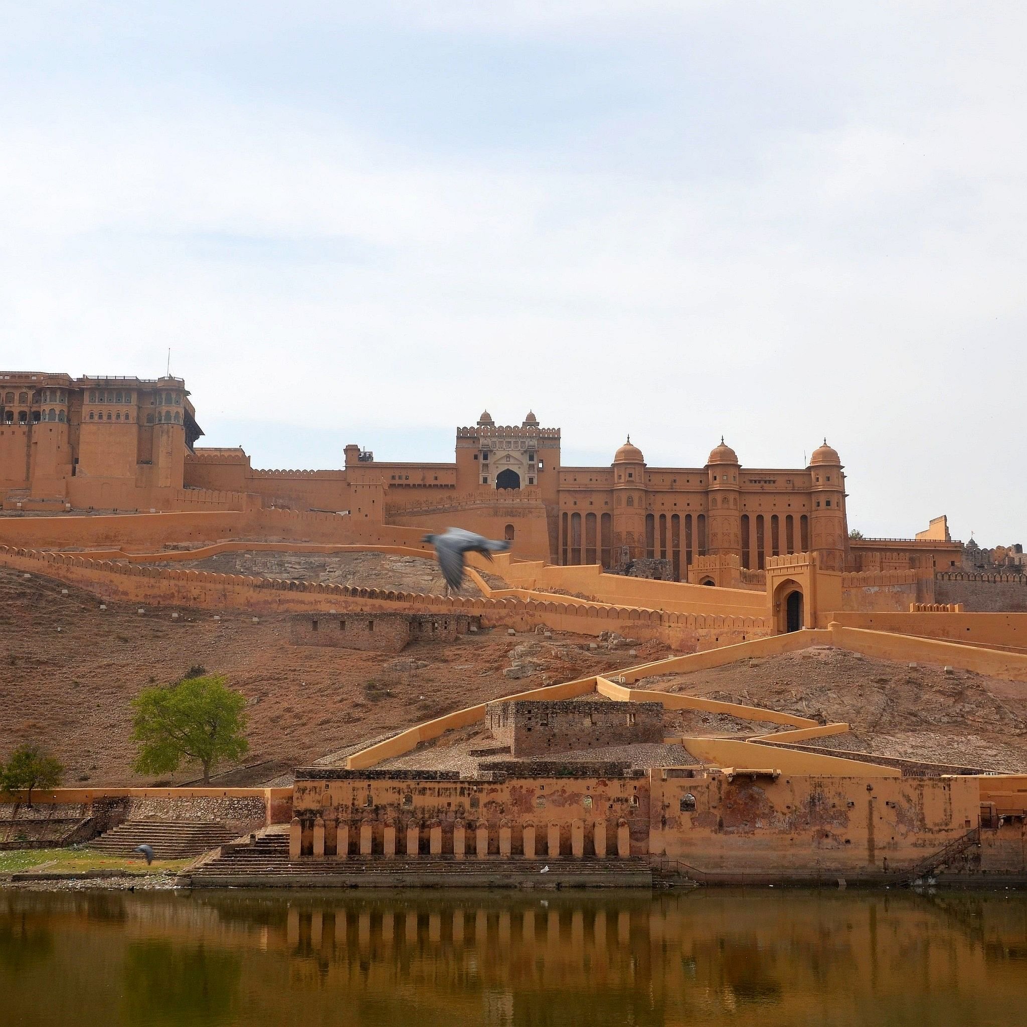 amberfort.jpg